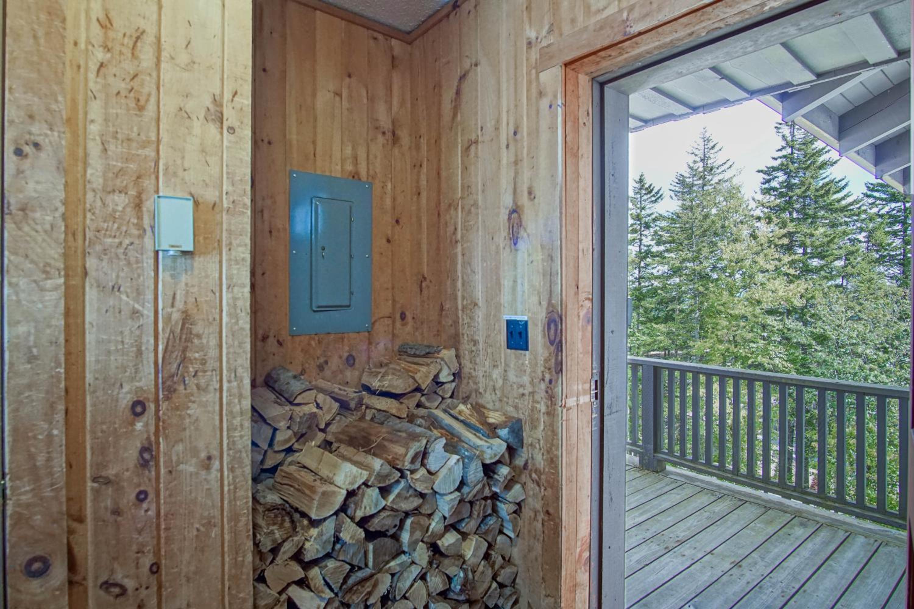 Whistlepunk #24: 4 Bedroom, 3 Bath: Slope Side, Wood Fireplace