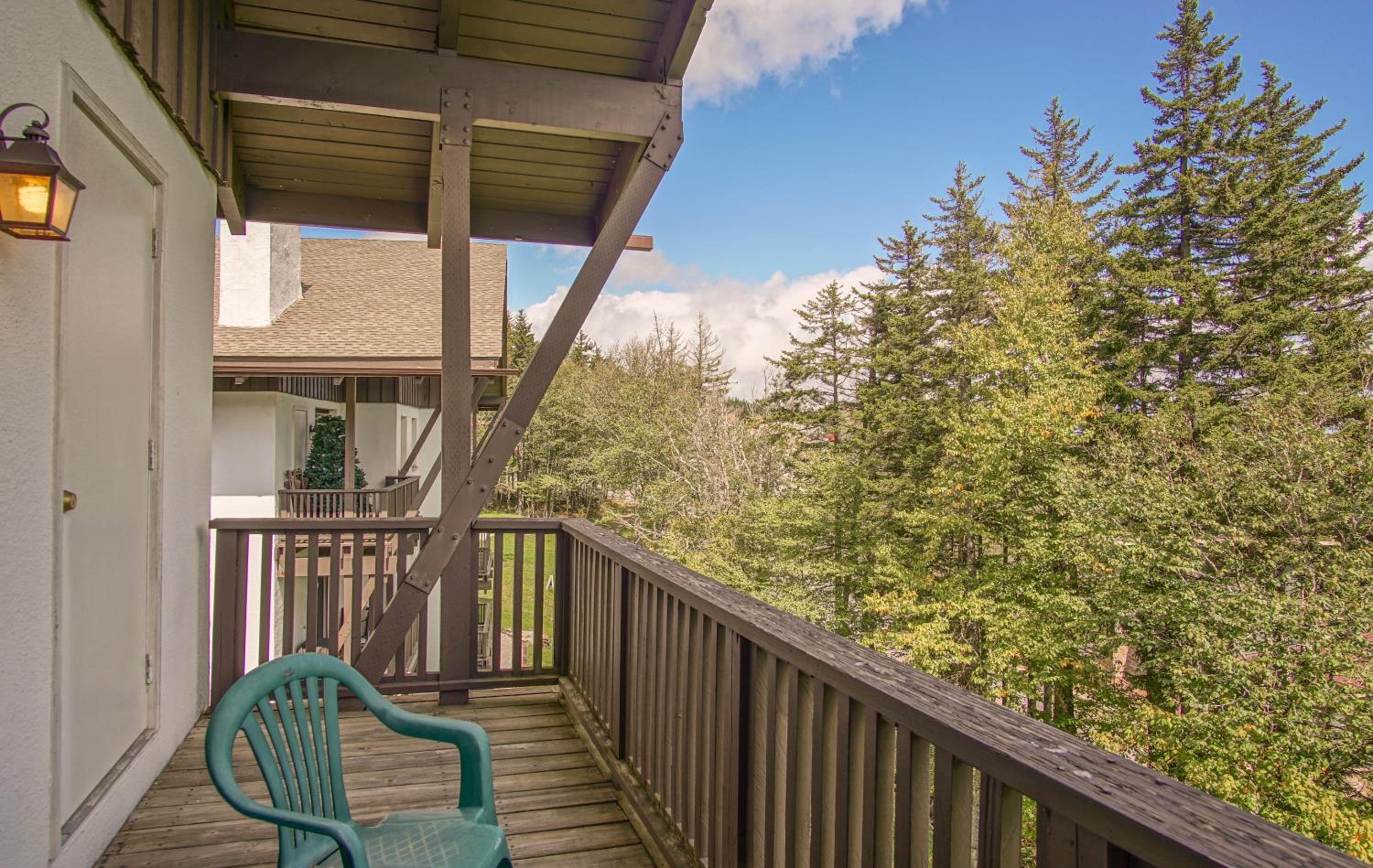 Whistlepunk #24: 4 Bedroom, 3 Bath: Slope Side, Wood Fireplace