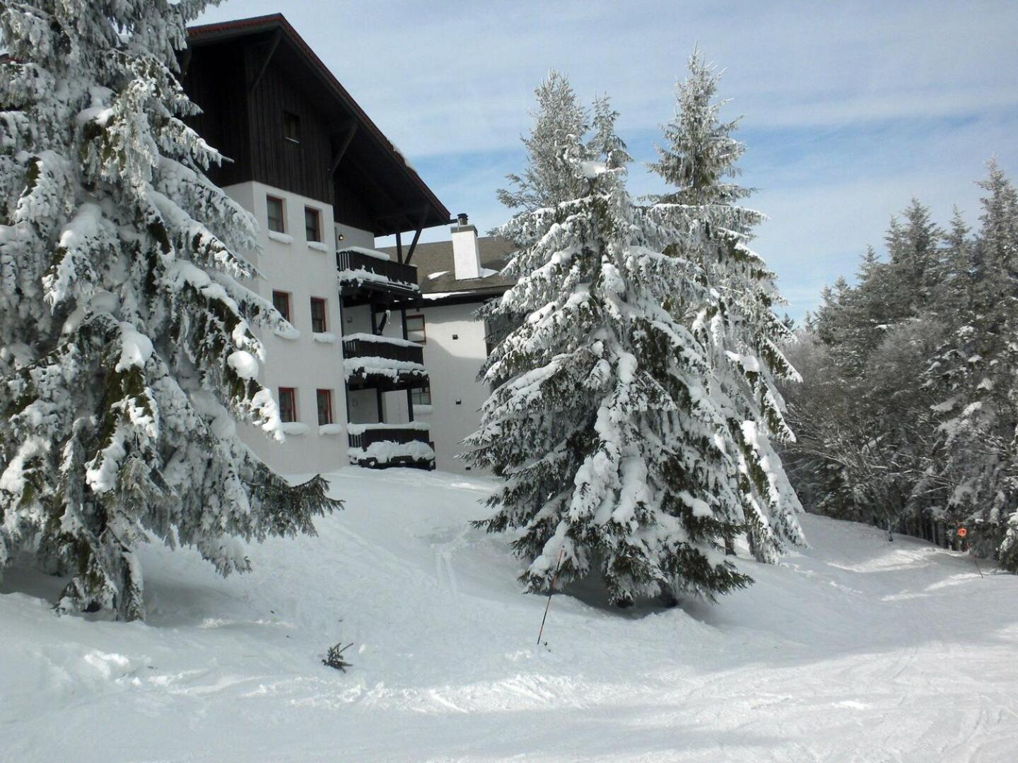 Whistlepunk 44 - 1 Bedroom with loft, Slopeside Complex