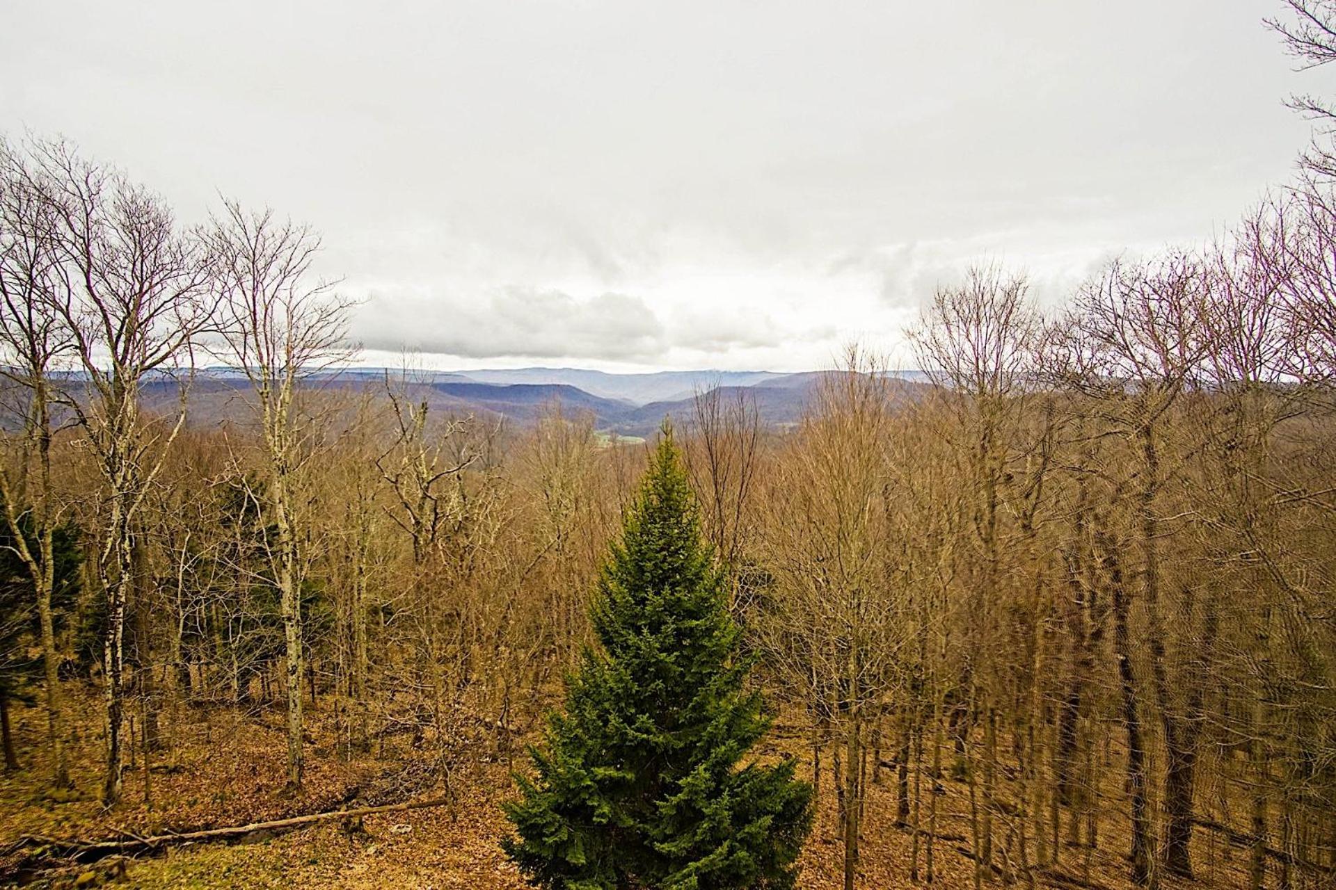 Top property on Snowshoe Mountain North Westridge 32 is as magnificent as its western views!