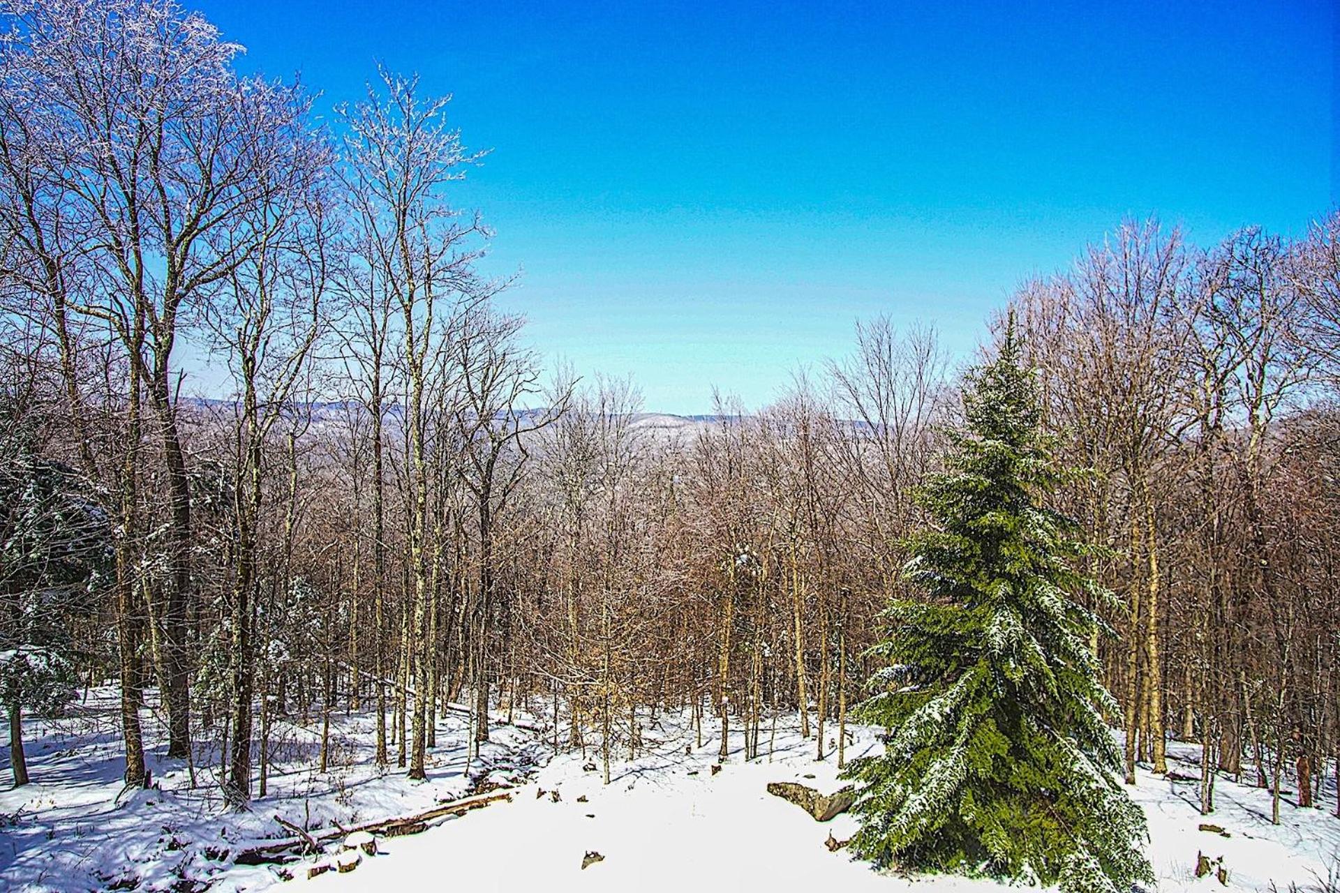Top property on Snowshoe Mountain North Westridge 32 is as magnificent as its western views!