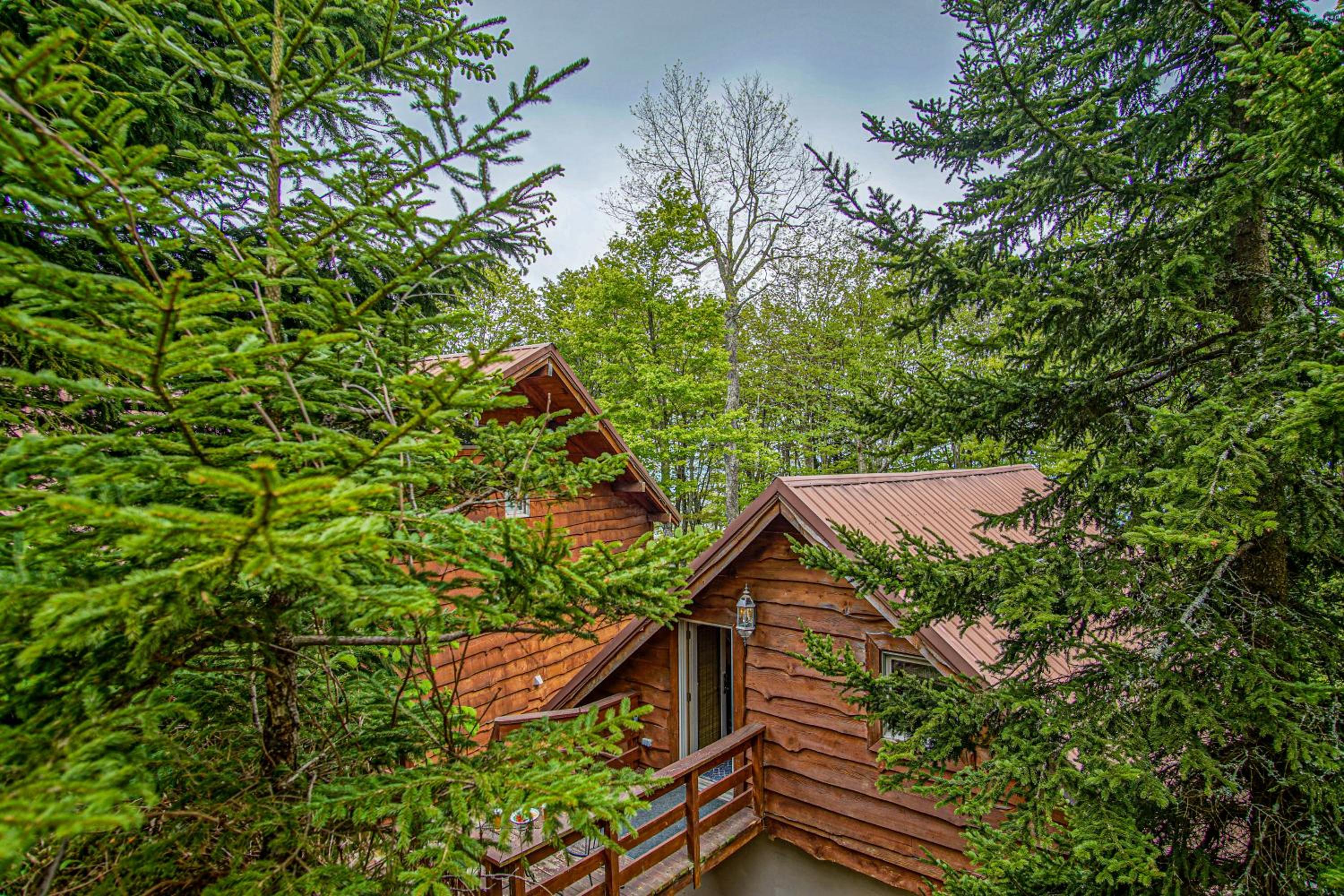 South Westridge 47GH - Snow Flurry Cabin adjacent to The spacious 47 Home