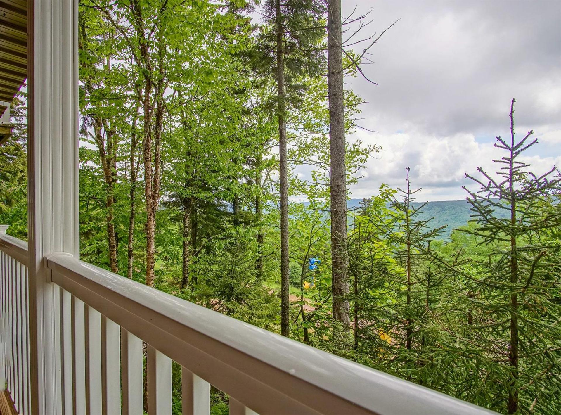 Stemwinder 6B 1 Bedroom, 1 Full Bath, Slope Side
