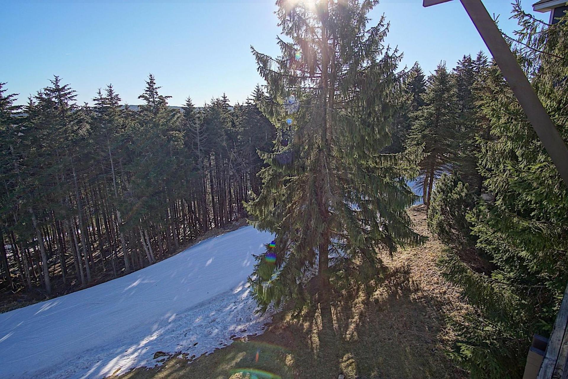 Fall Retreat | Whistlepunk 1 Slope Side 3BR
