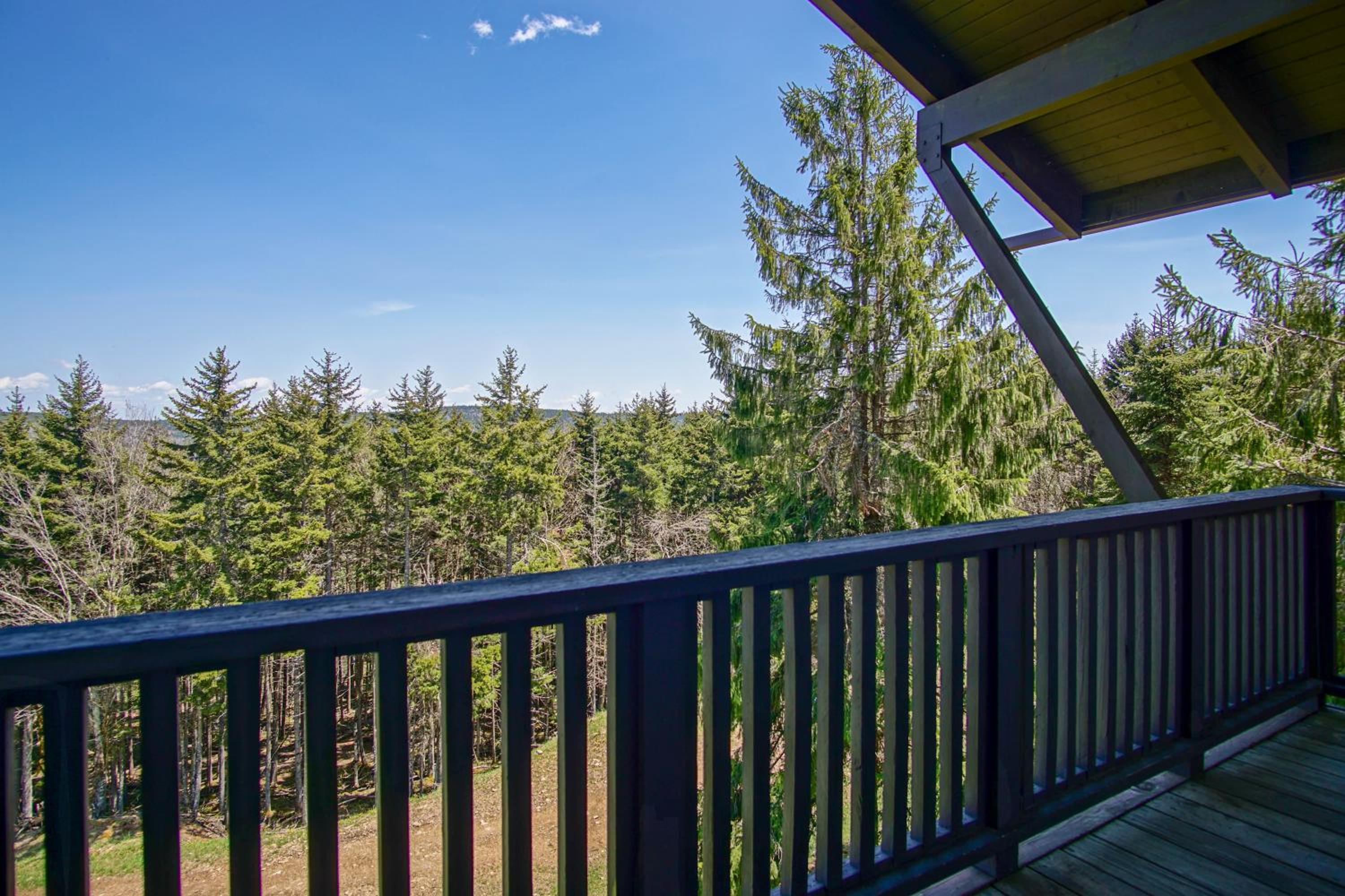 Fall Retreat | Whistlepunk 1 Slope Side 3BR
