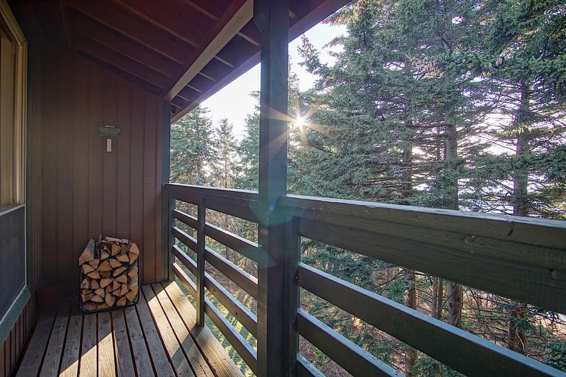 Mountain Crest 35 The Tree House at Snowshoe Superb And Comfy Sleeps 6