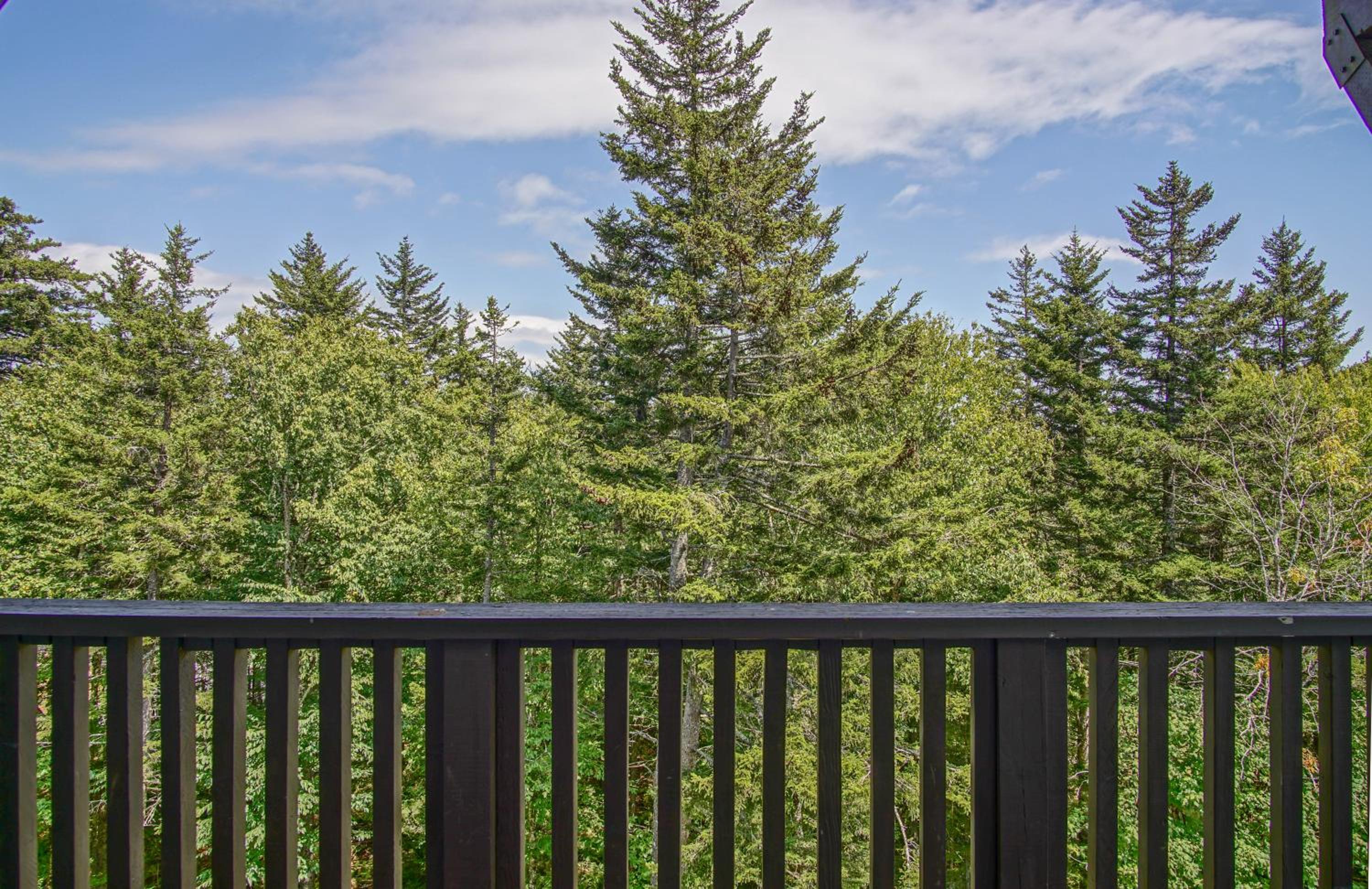 Whistlepunk 13 Spacious 4 Br Condo Slope Side