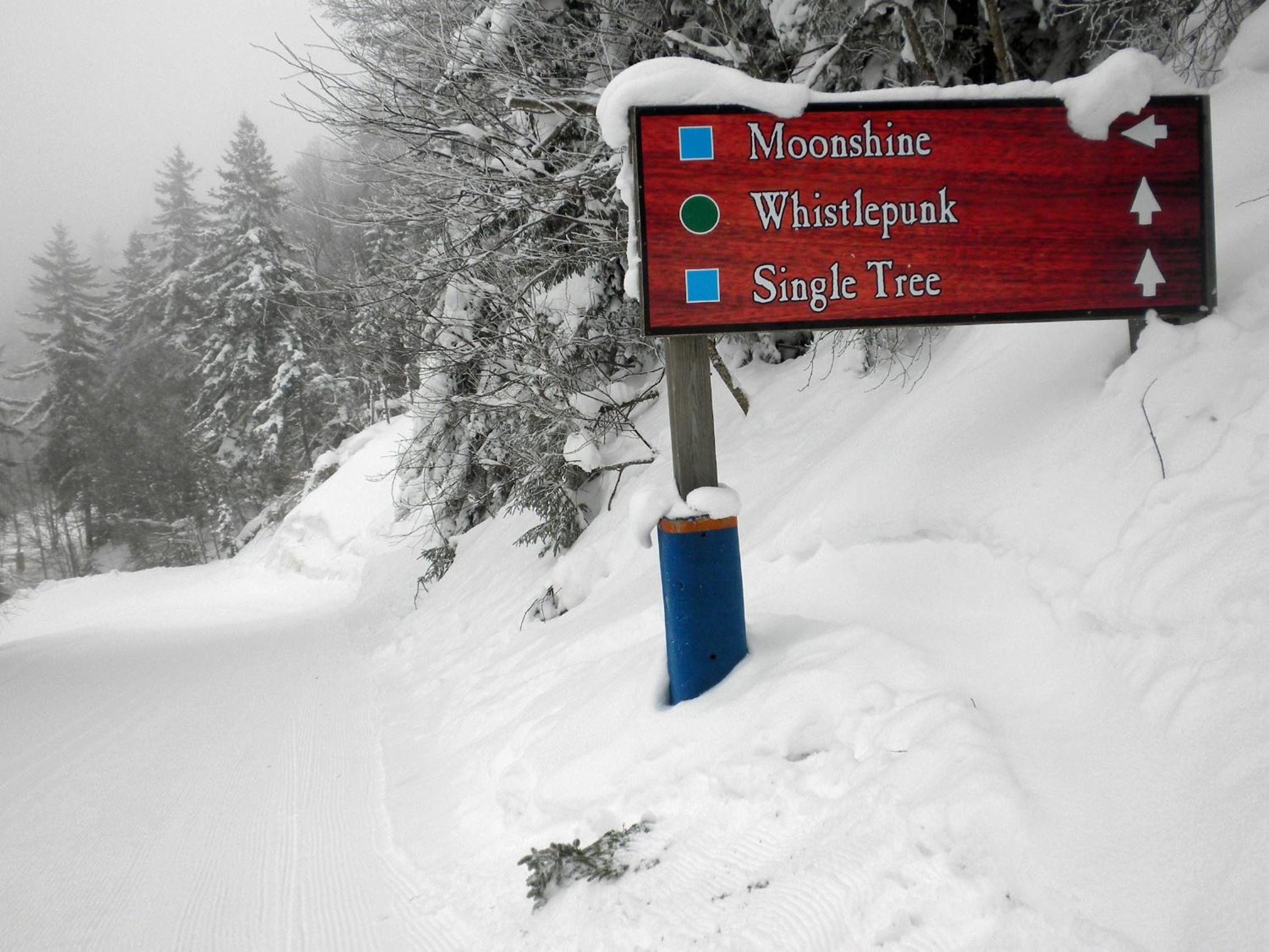 Whistlepunk #12: 4 Bedroom, 3 Bath: Slope Side, Wood Fireplace