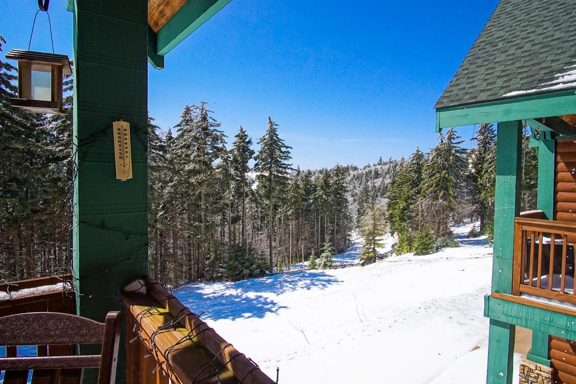 Camp Four 23: Pet Friendly, Slope side, Gas Fireplace