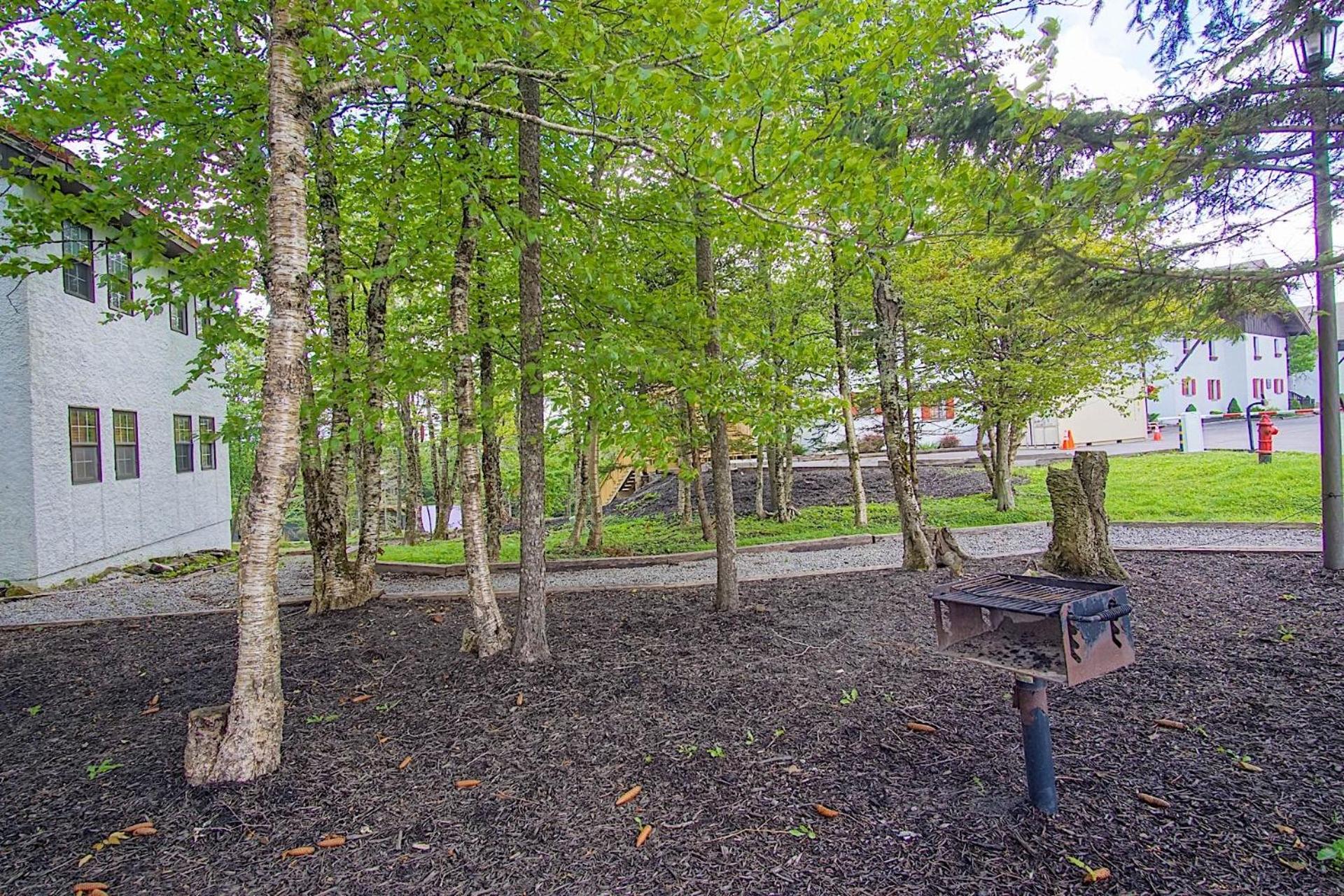 Whistlepunk #33: 1 Bedroom, 1 Full Bathroom: Slope Side, Wood Fireplace