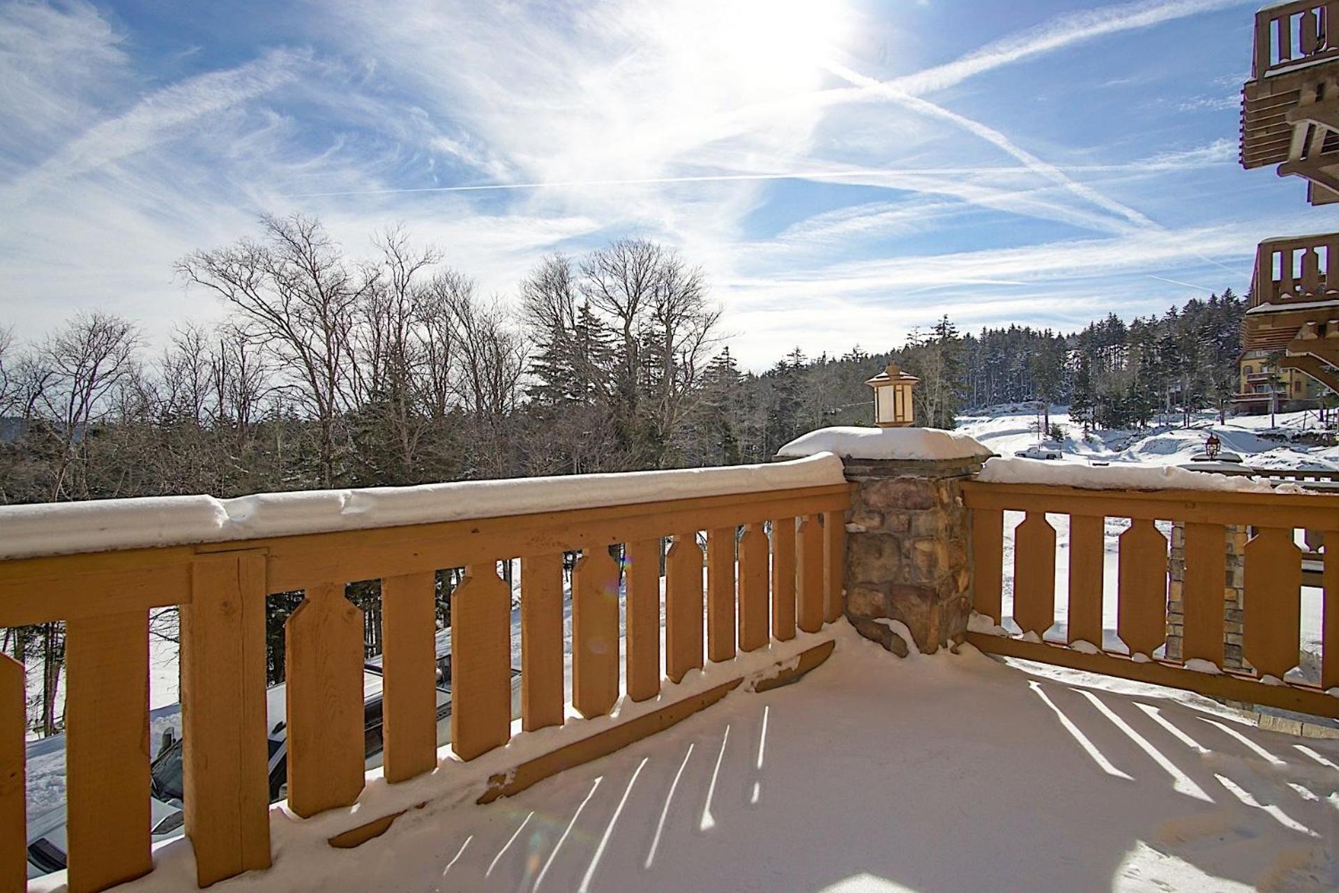 Sanctuary Family Paradise Private Home with Hot tub Snowshoe Mtn Resort