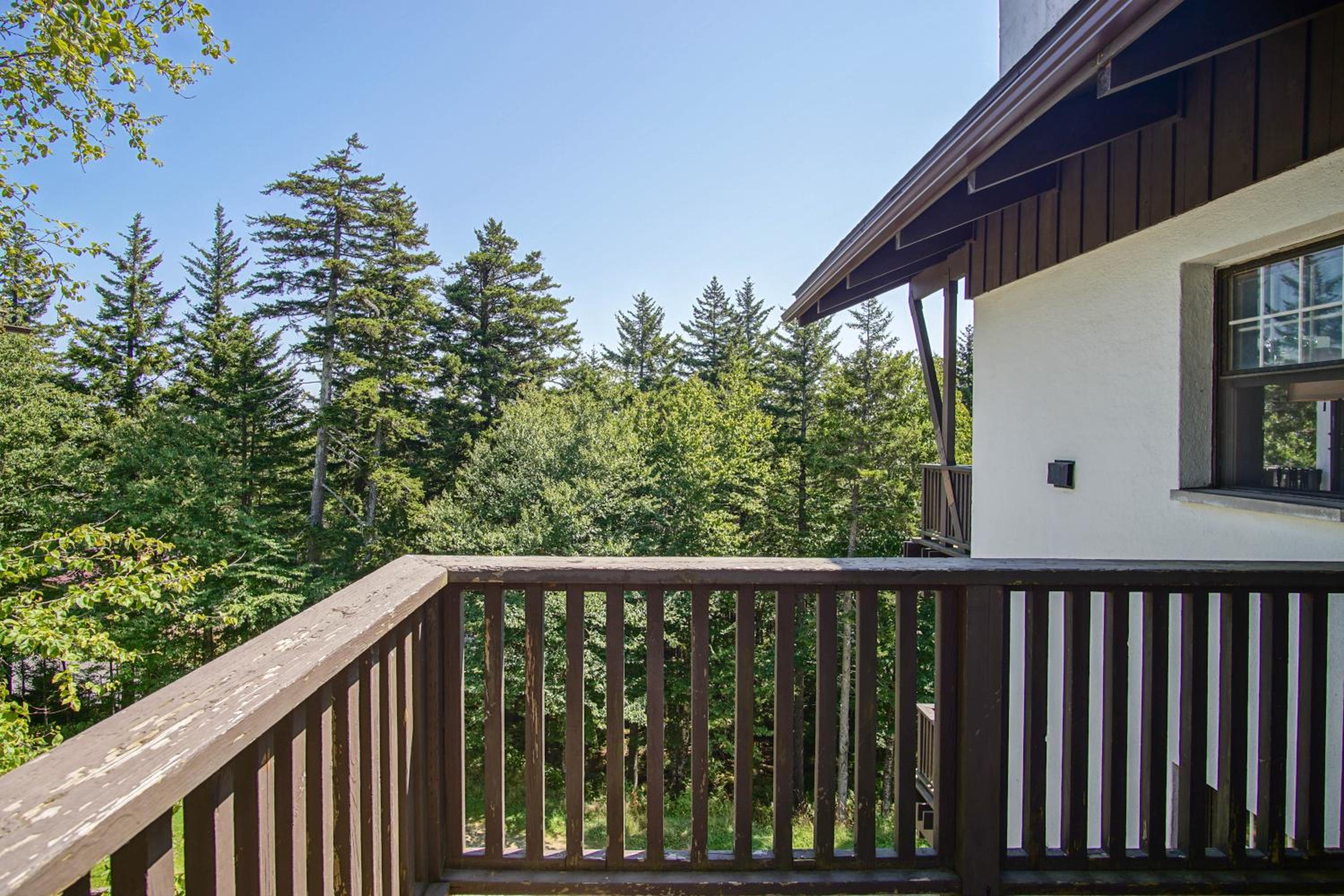 Whistlepunk #18: 4 Bedrooms, 3 Baths