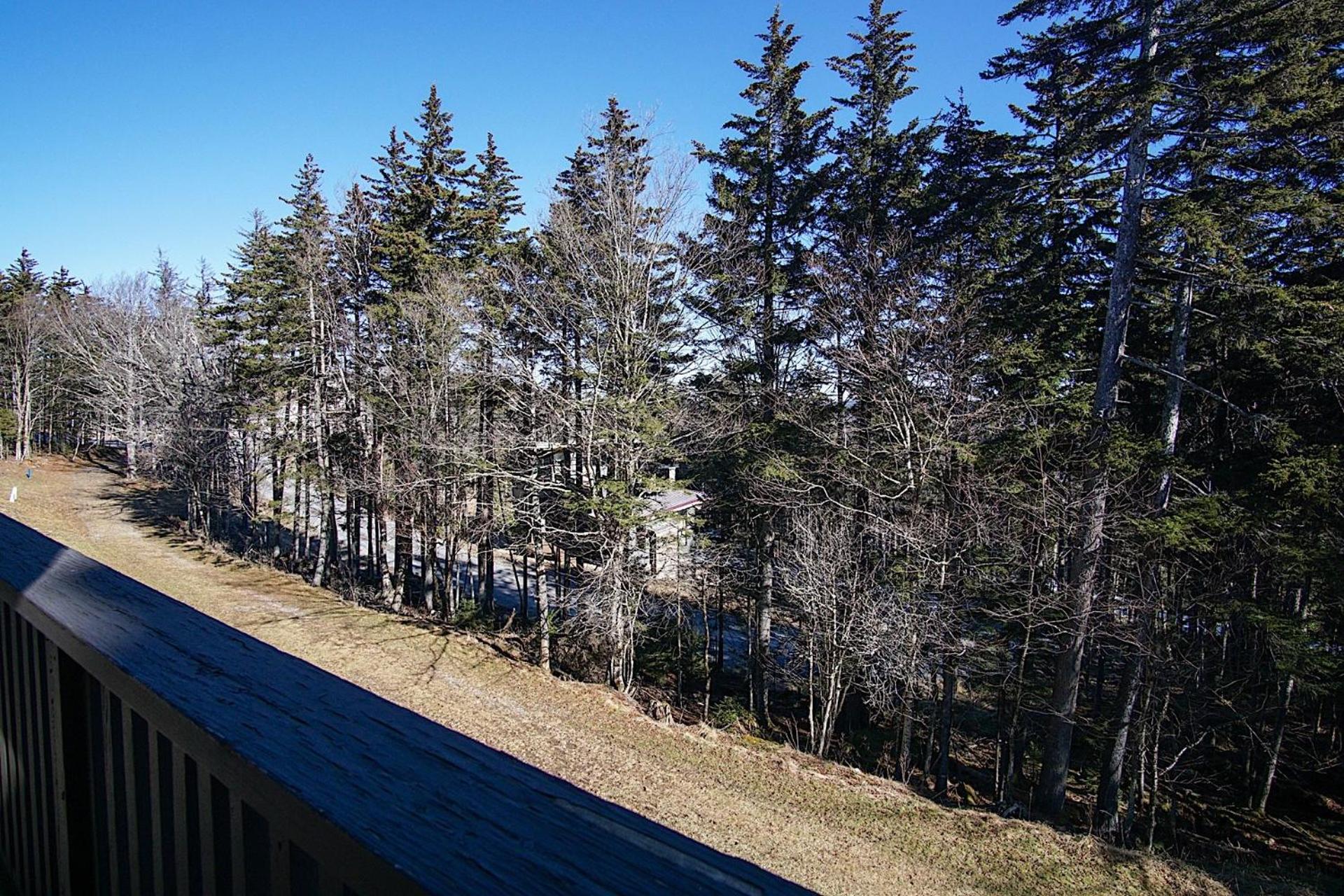 Whistlepunk 20 Wilderness Hideaway, Slope Side, Spacious 2 Br Condo