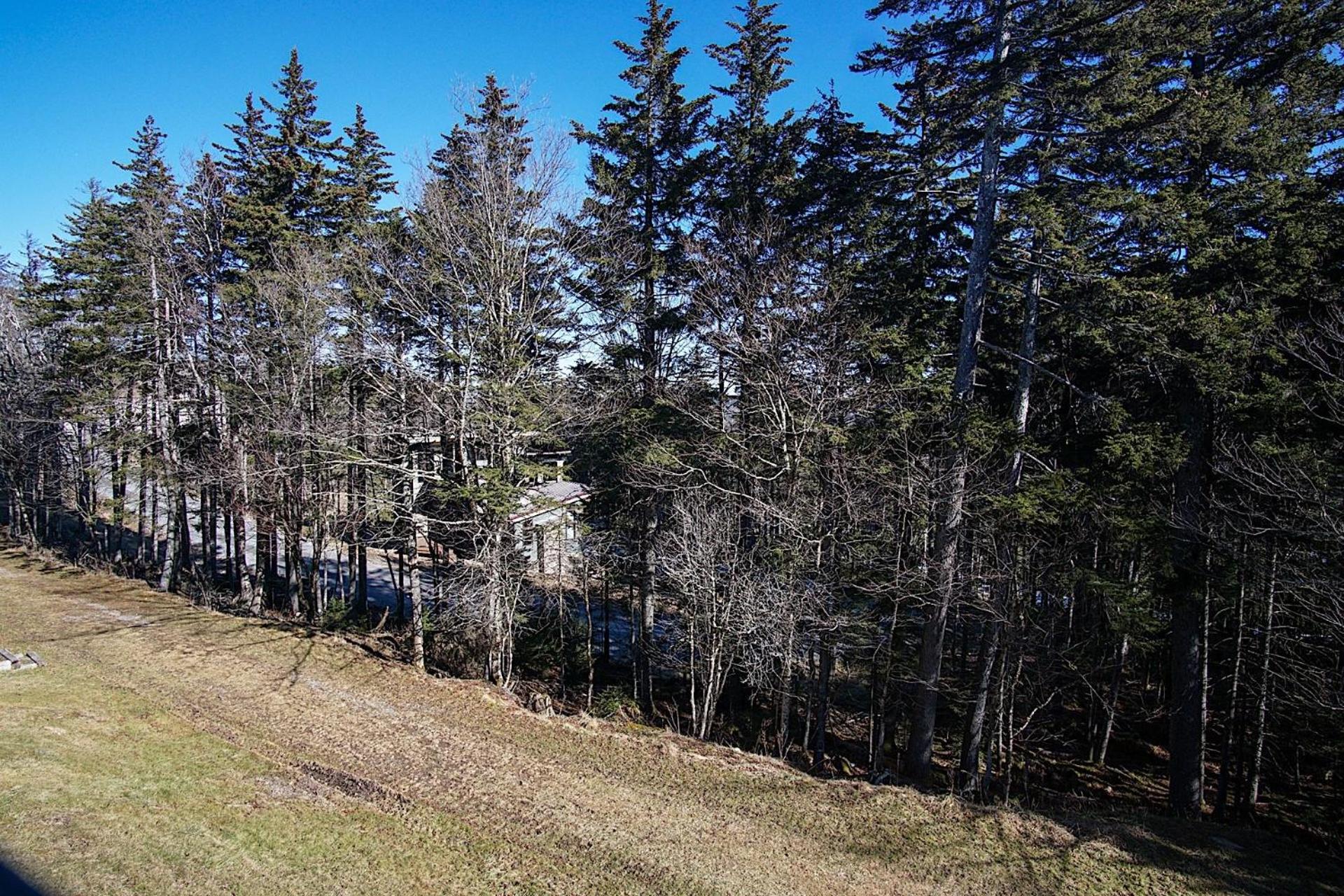 Whistlepunk 20 Wilderness Hideaway, Slope Side, Spacious 2 Br Condo