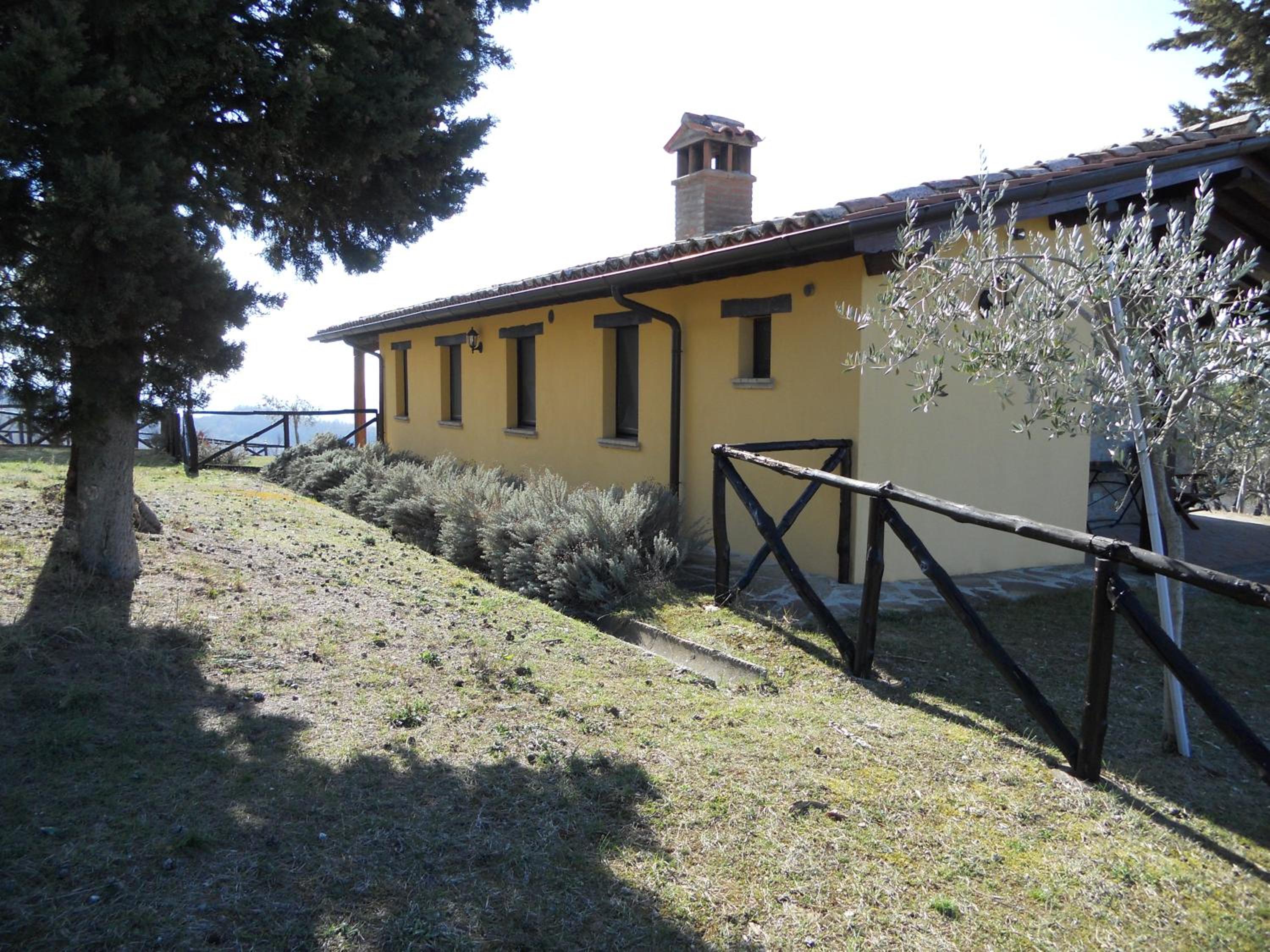 Photo 97