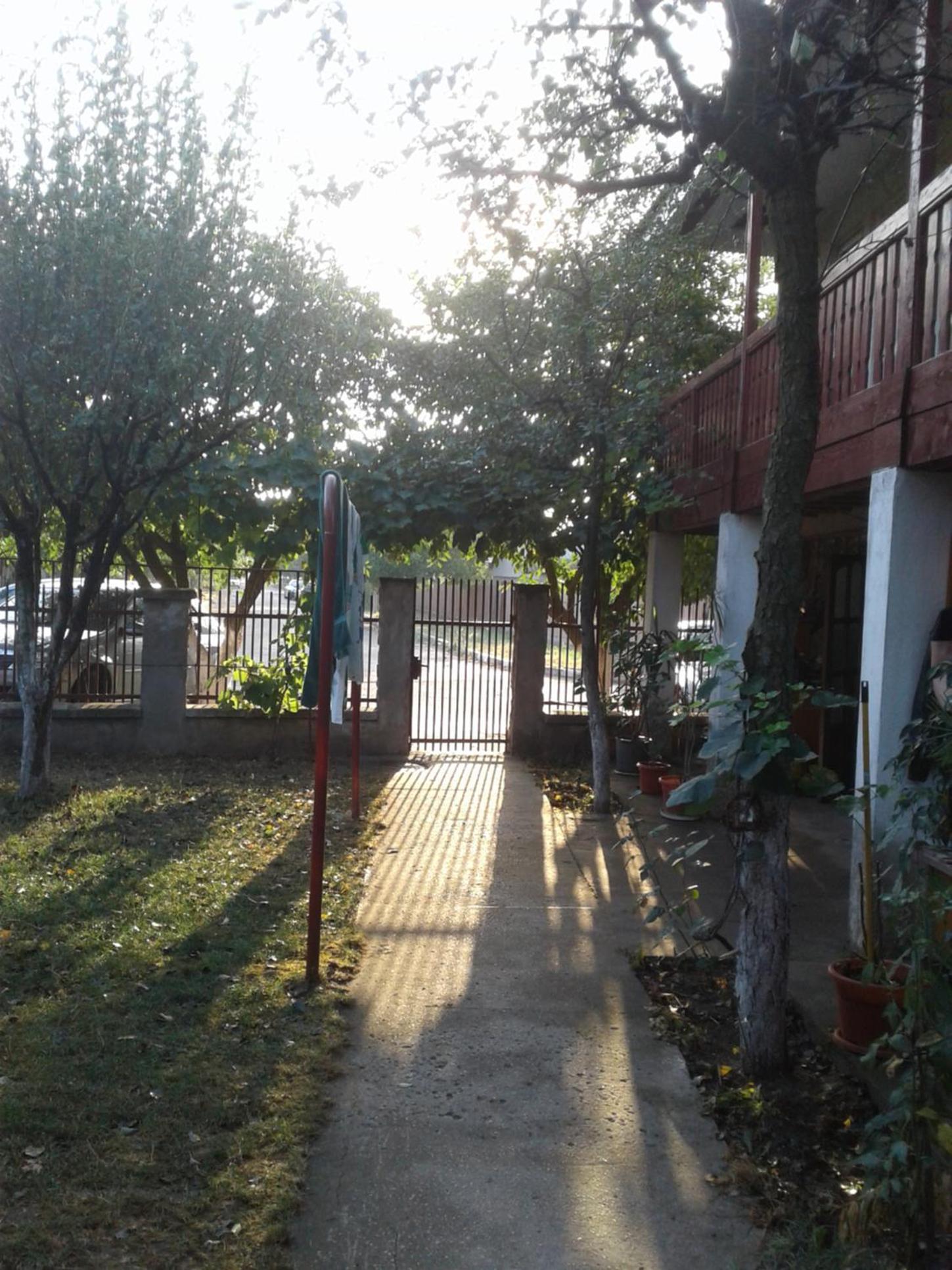Photo 40