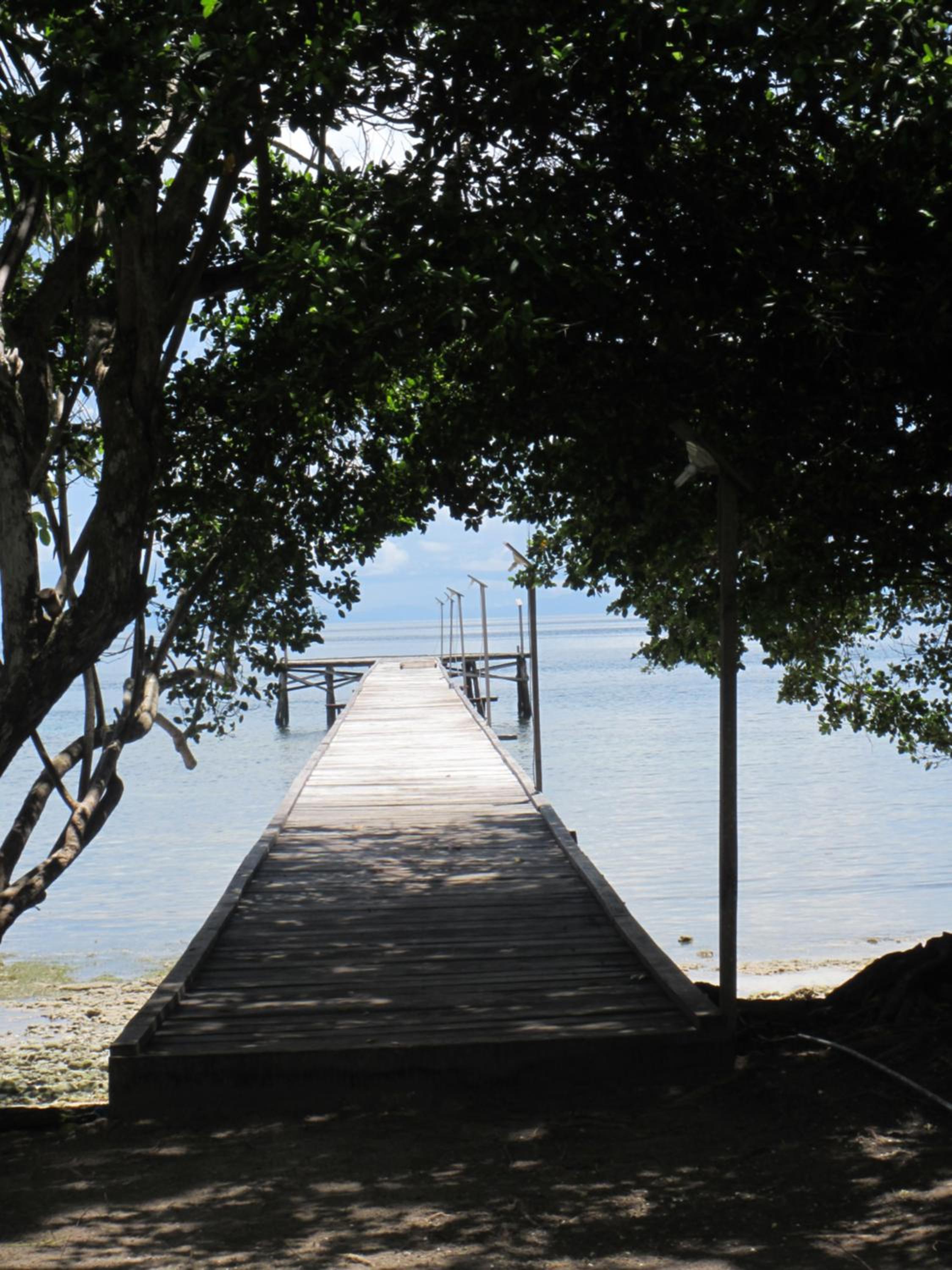 Scuba Republic Beach Bungalows view 5