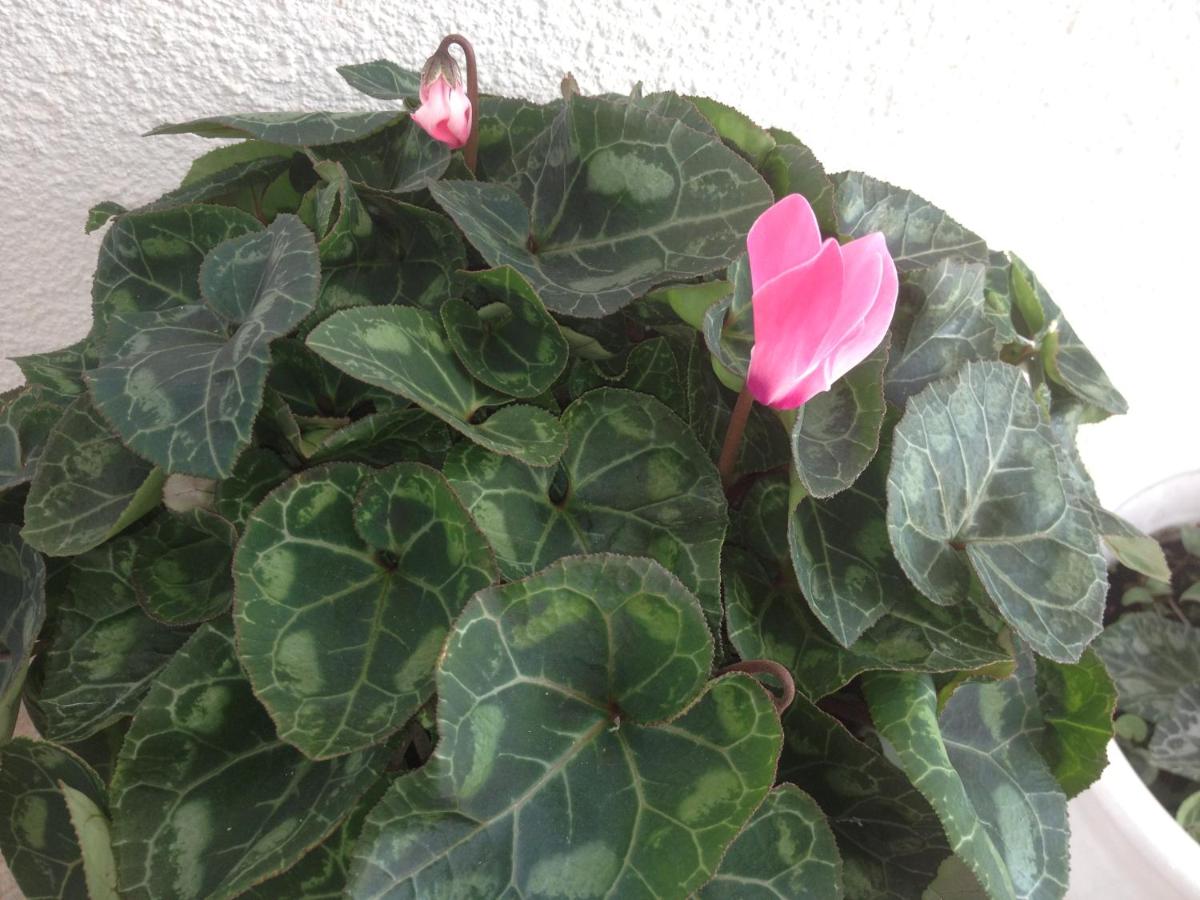 Photo 58