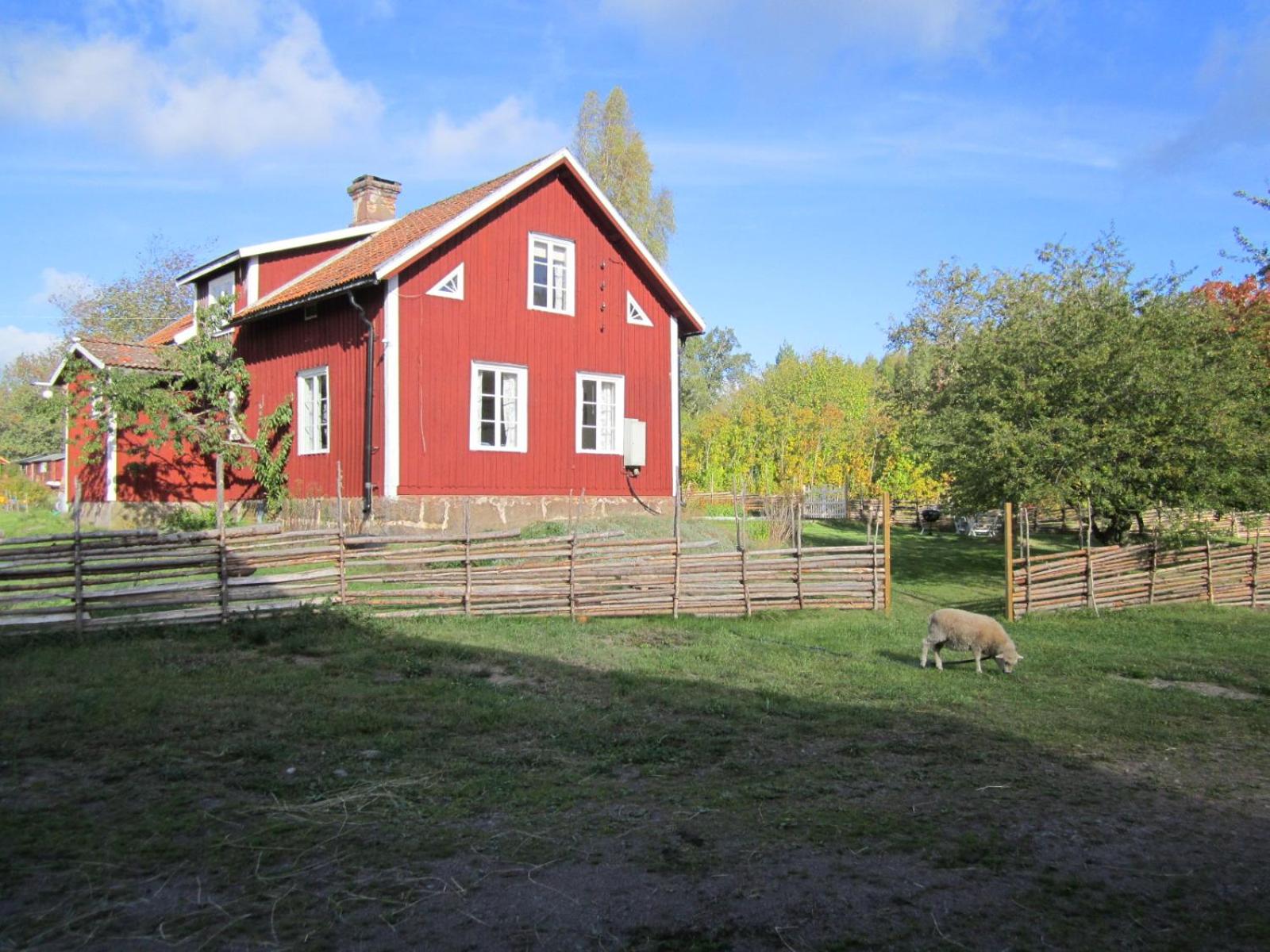 Björksebo view 2