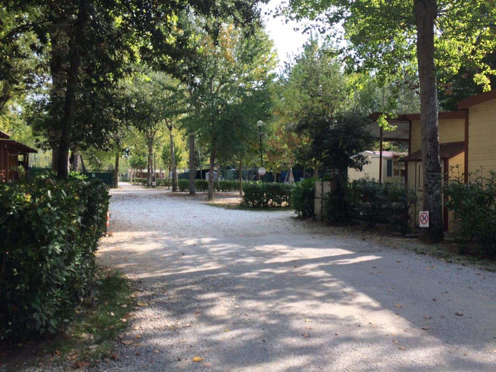 Campeggio Boscoverde, photo 18