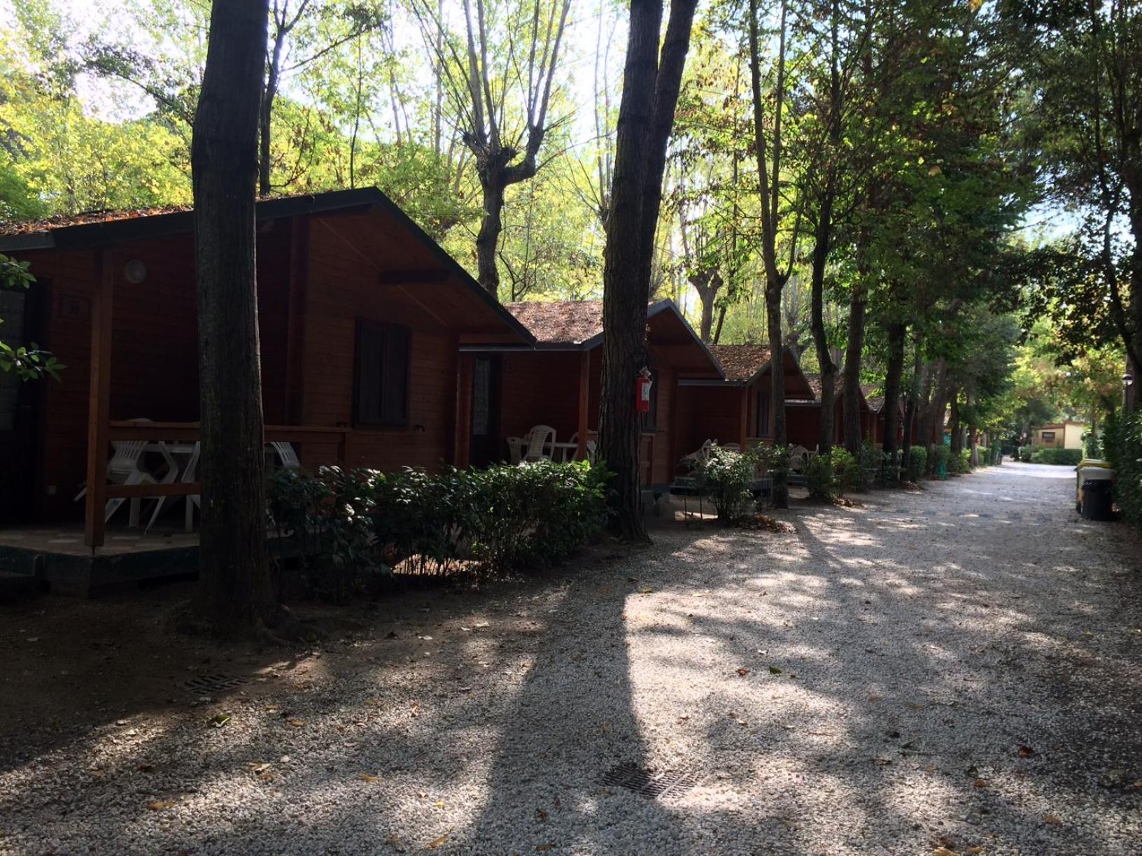 Campeggio Boscoverde, photo 85