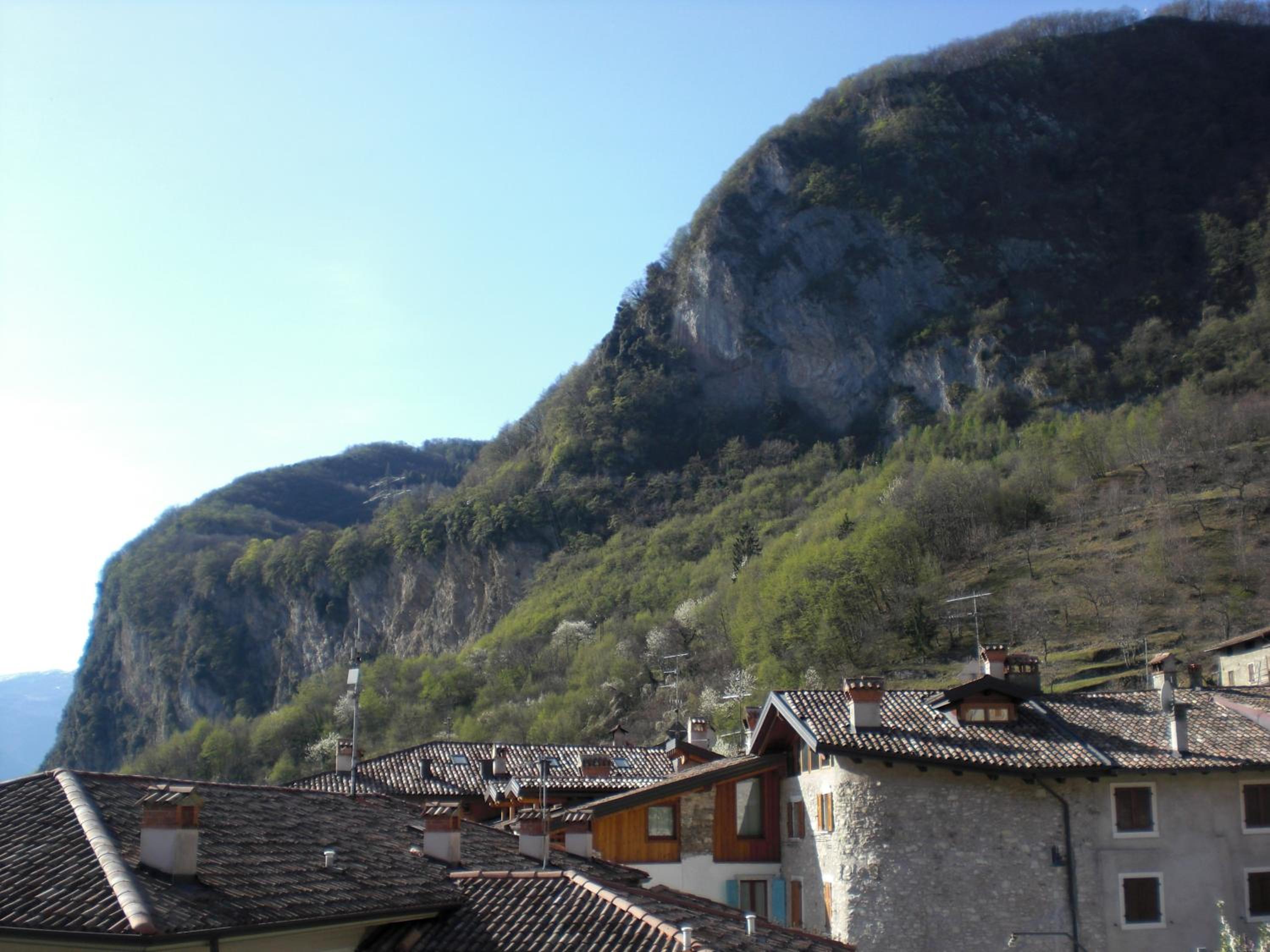 Photo 49