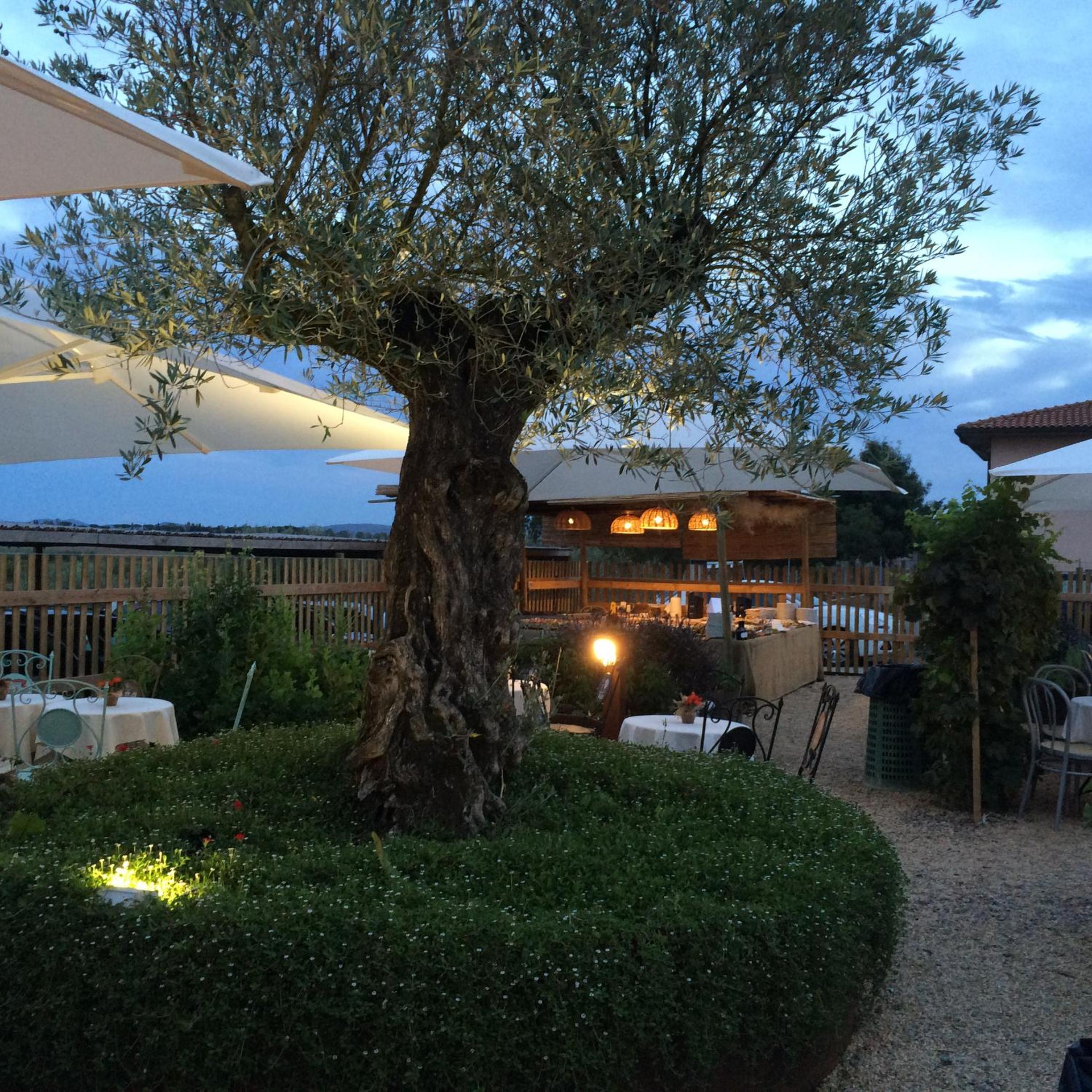 Agriturismo Le Spighe