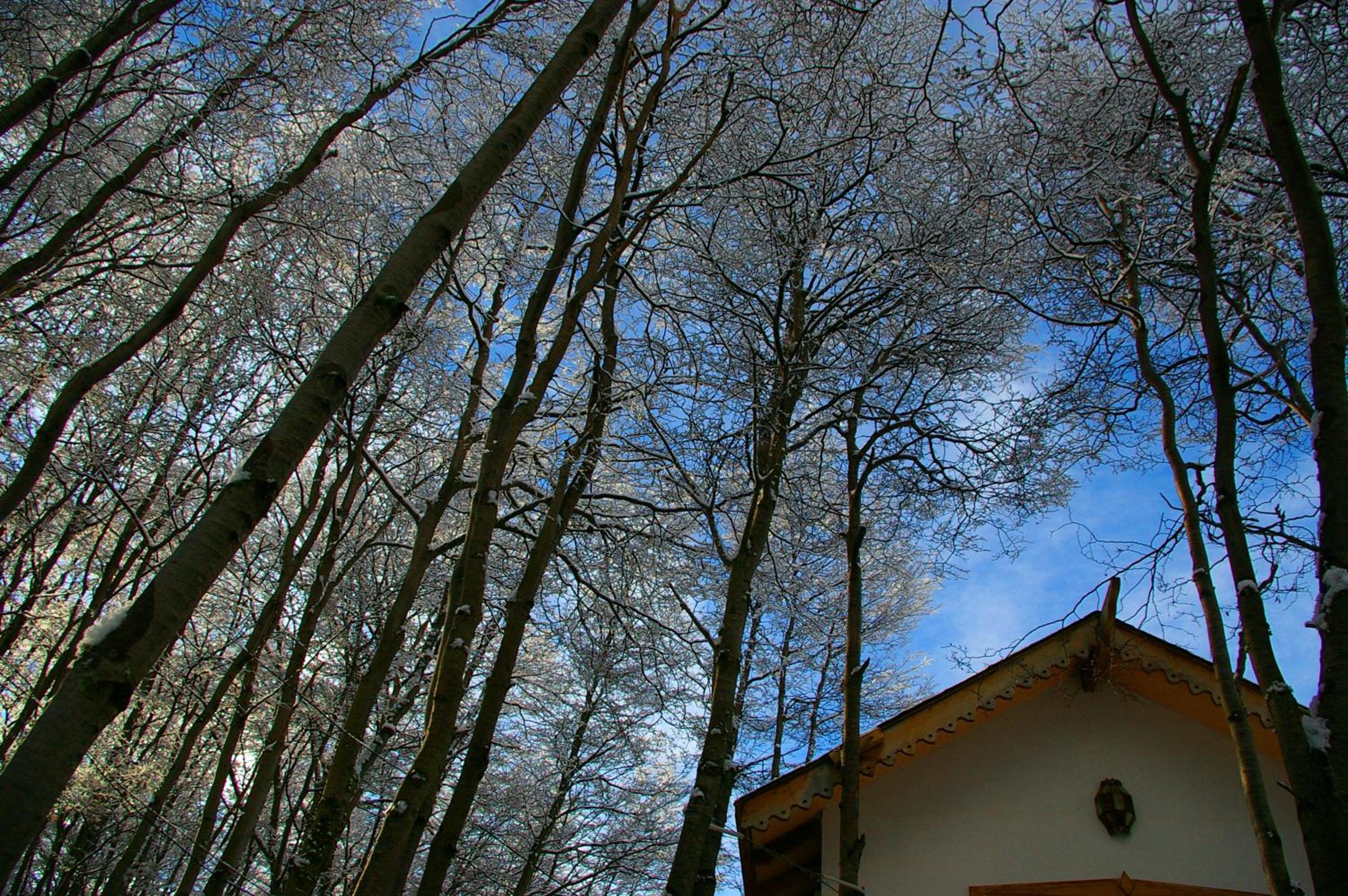 Familia Piatti B&B - Suites