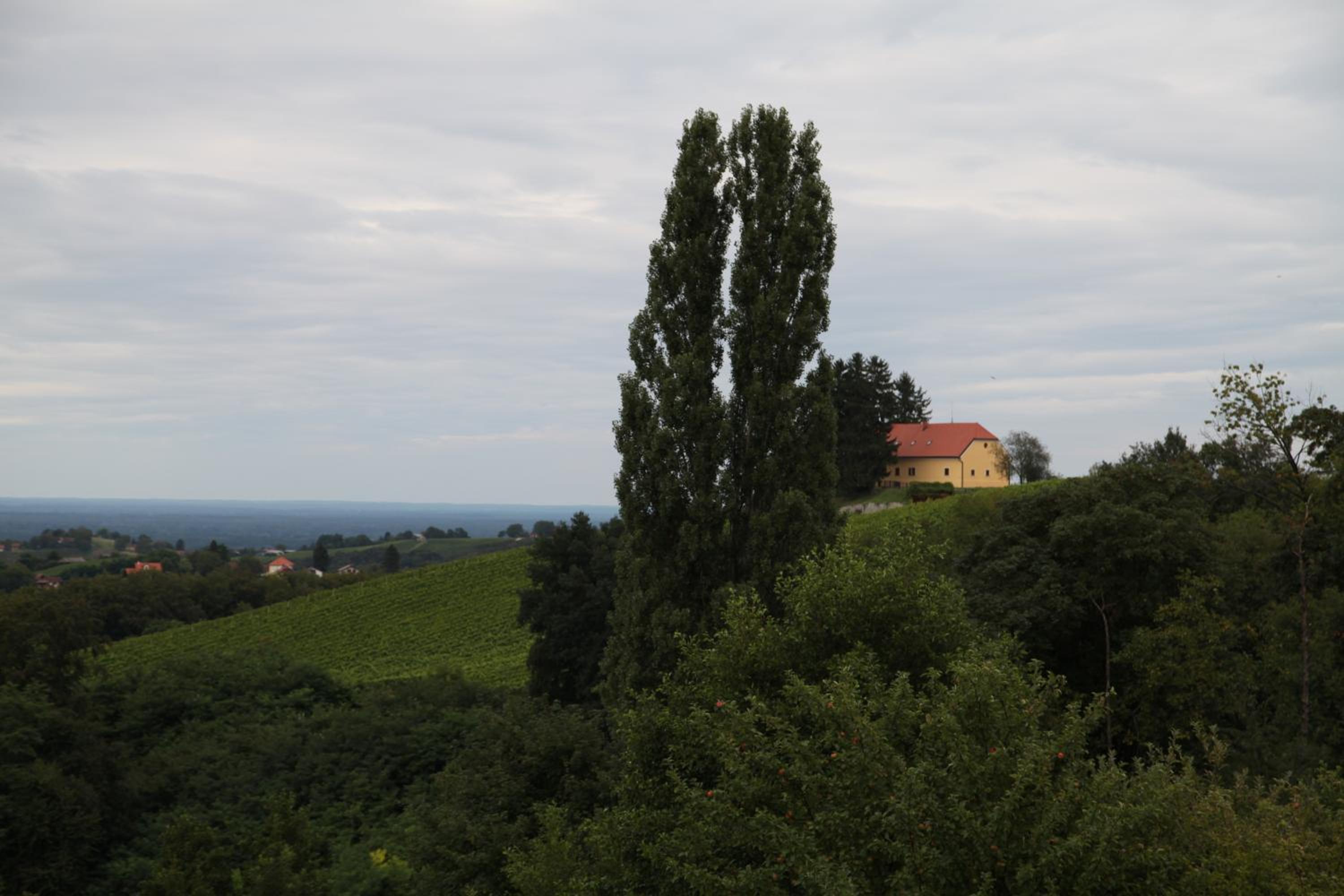 Photo 37