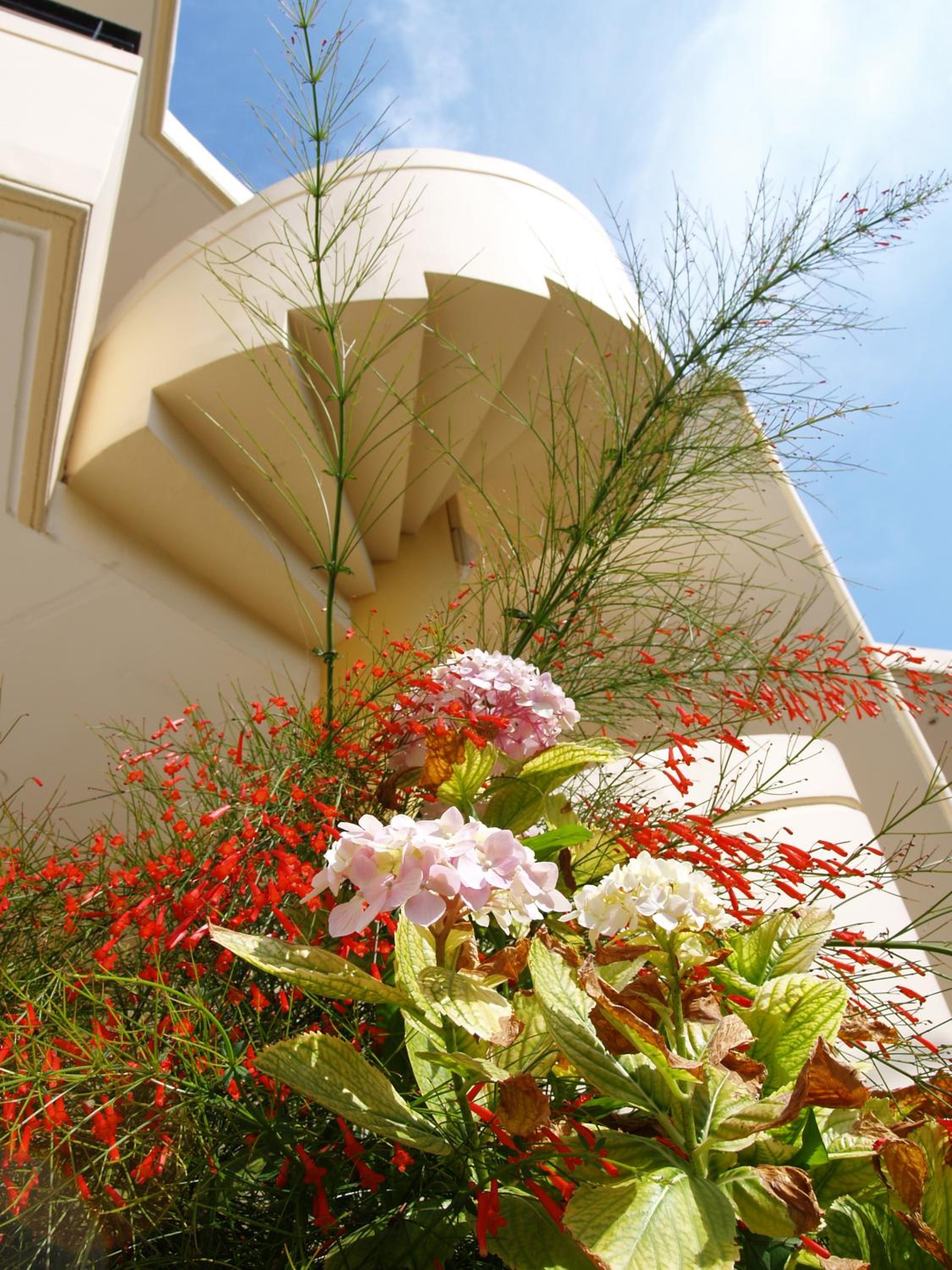 Marias Studios & Apartments in Platanias