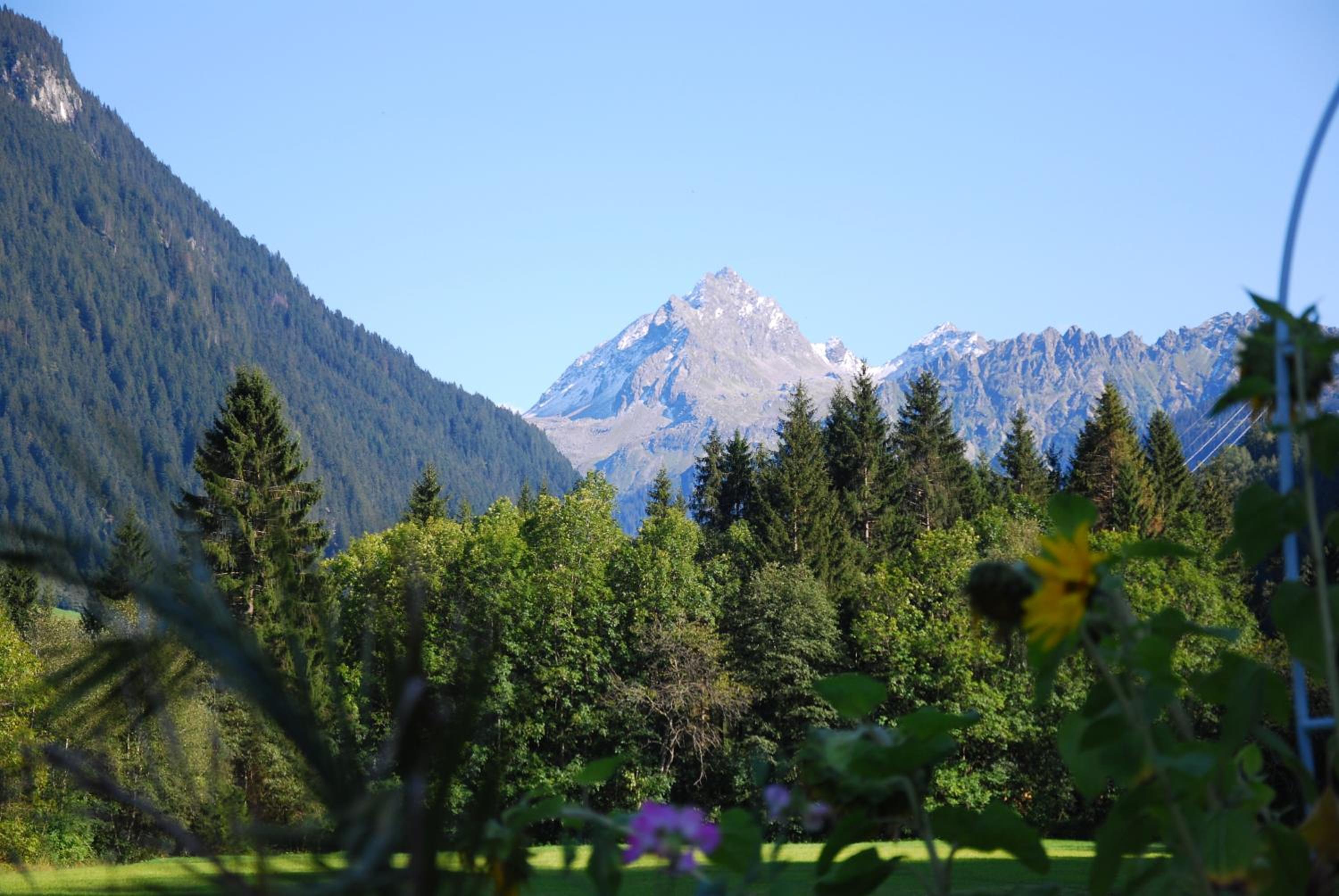 Alpenpension Maderer view 3