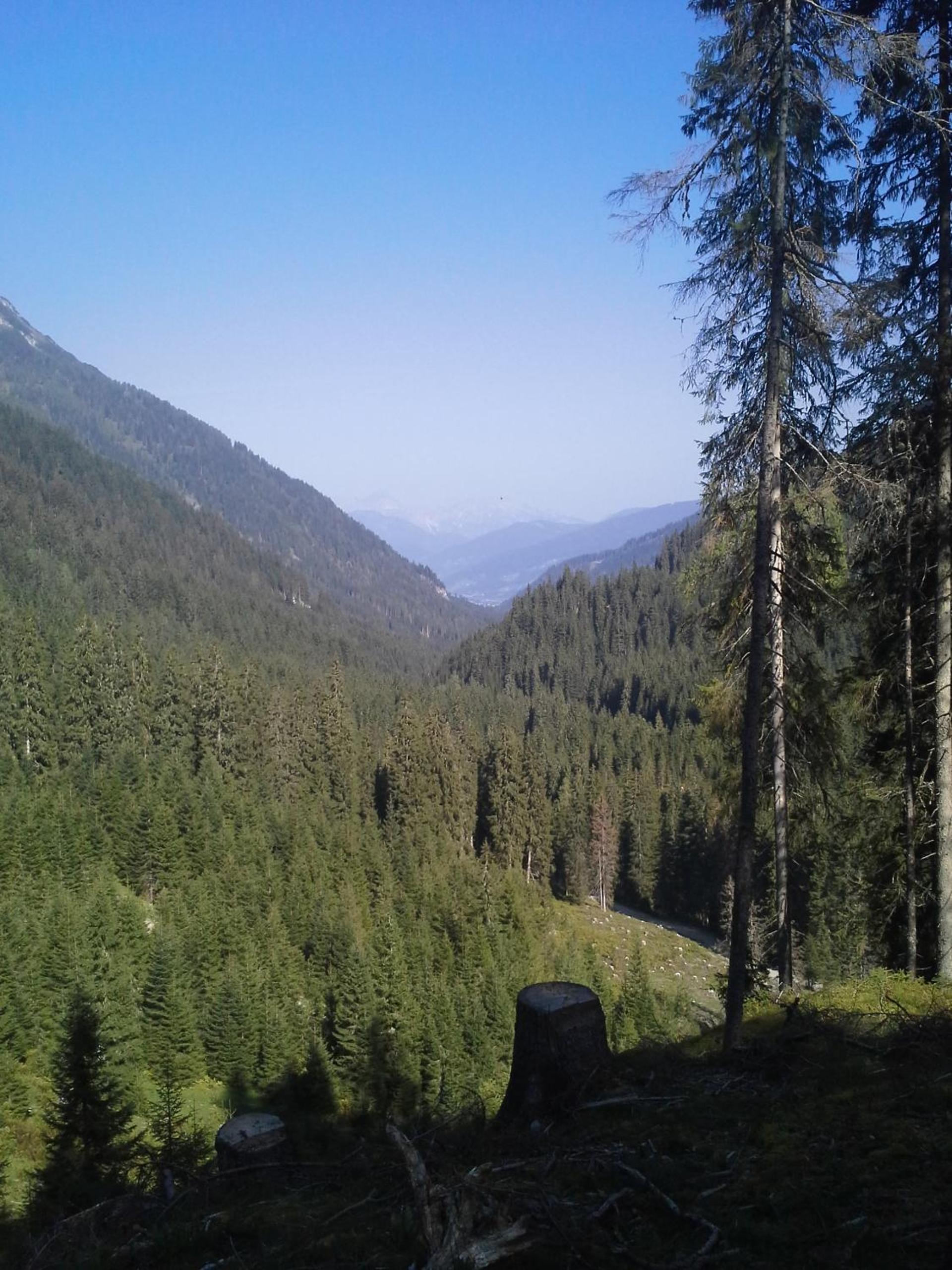 Photo 33