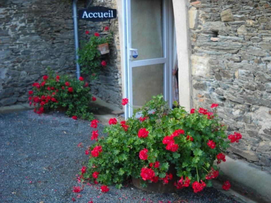 Domaine de la Cour