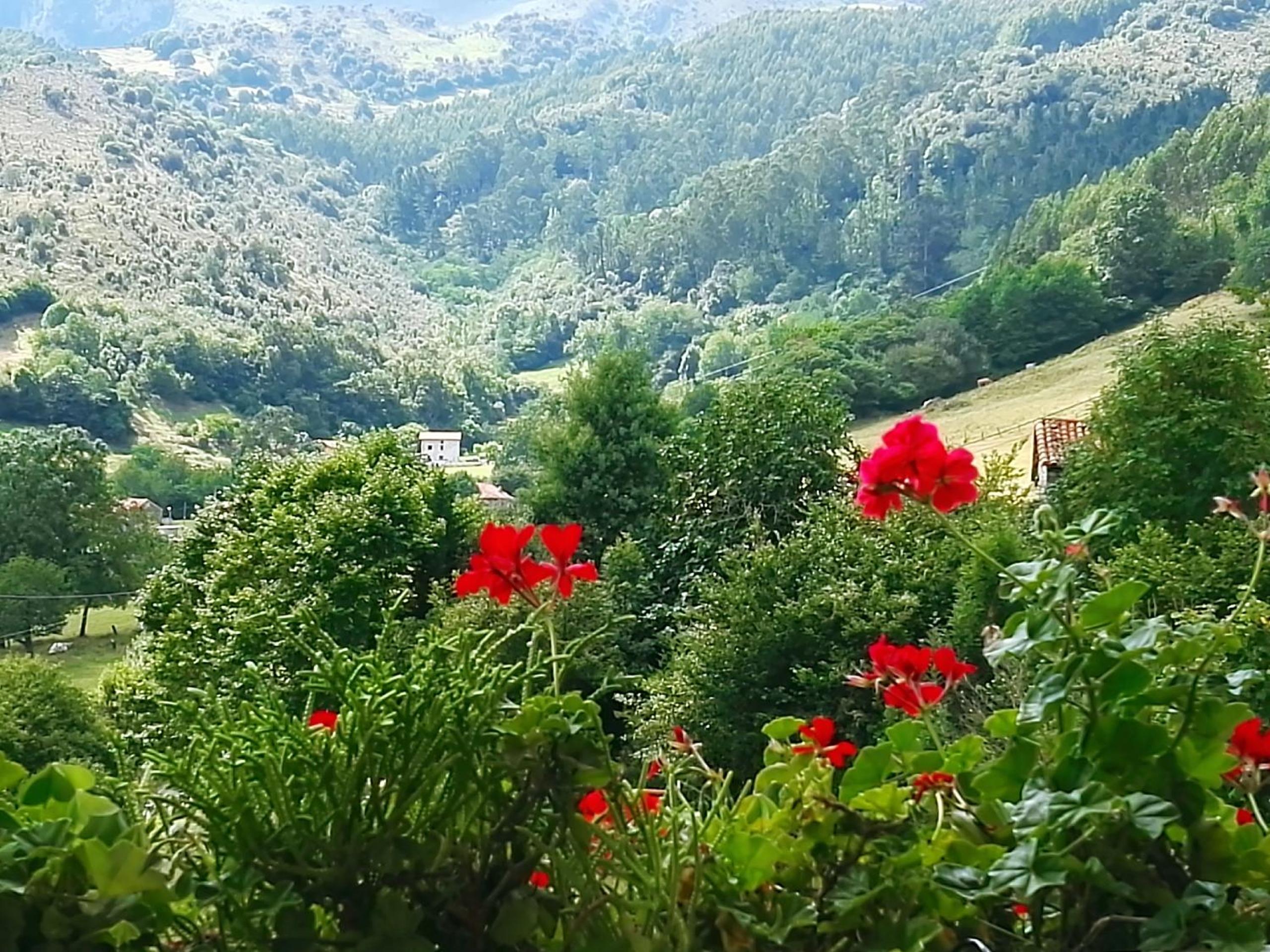 Finca Artienza