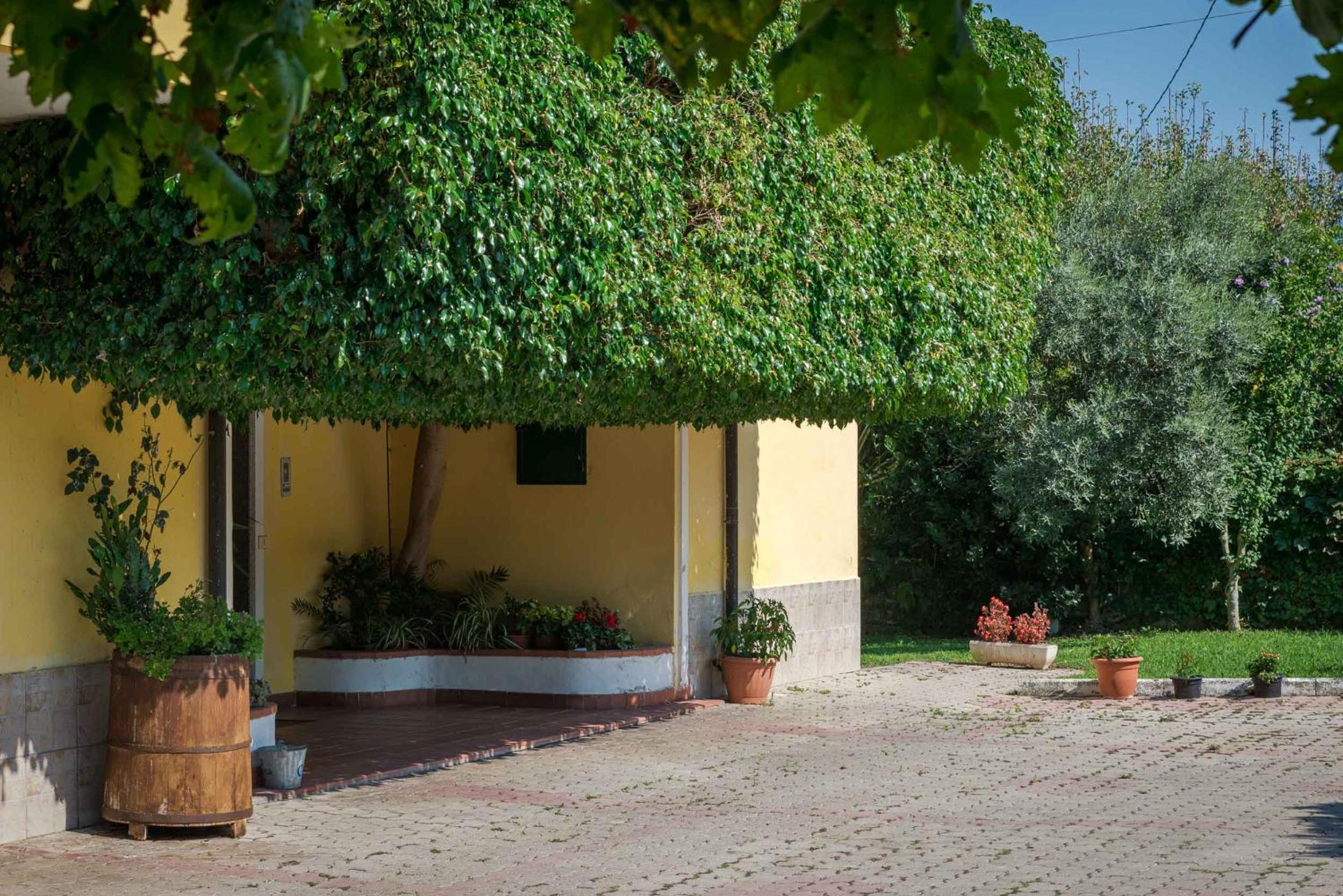 Casa Vacanze Il Girasole view 5