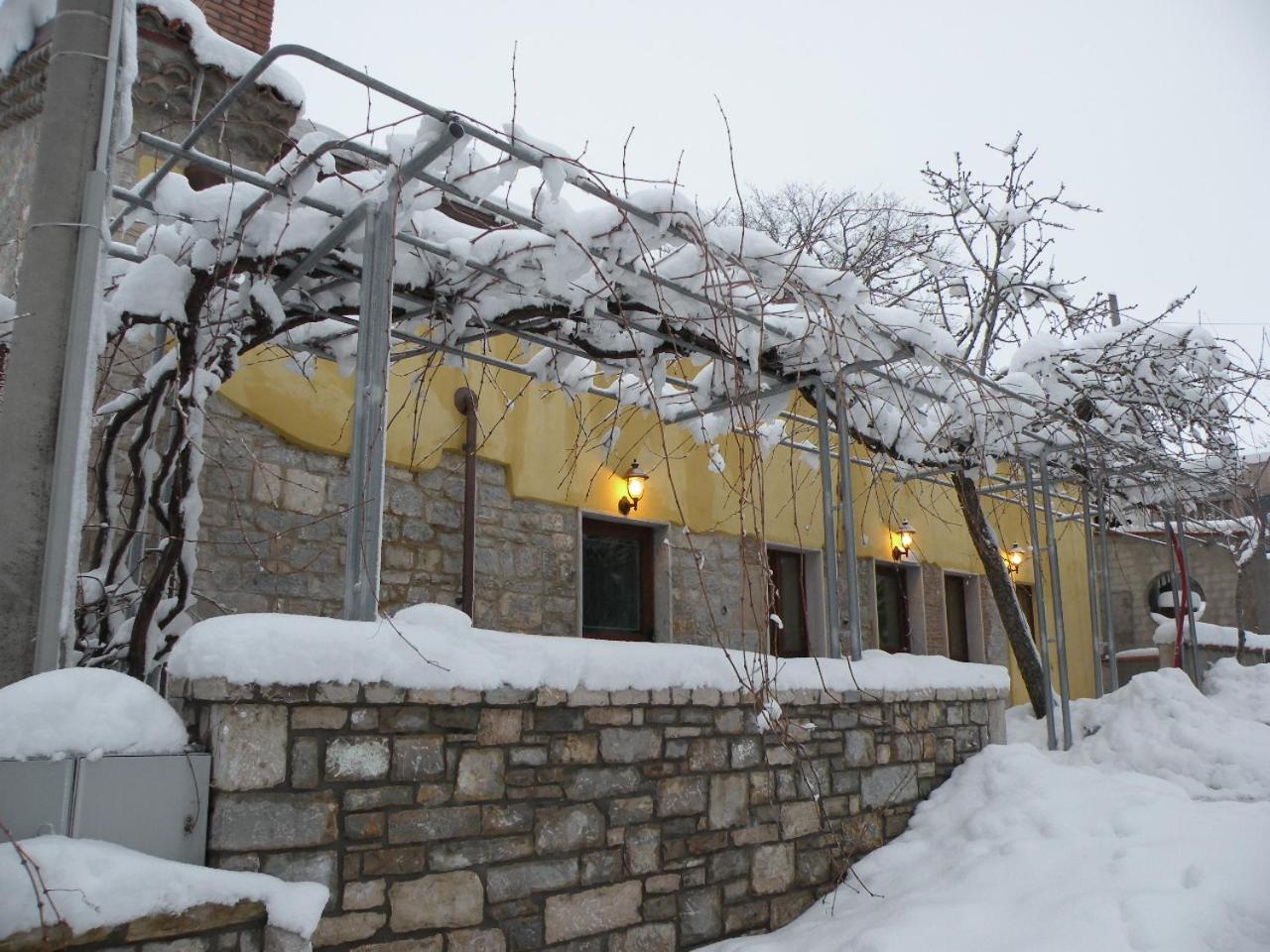 Photo 44