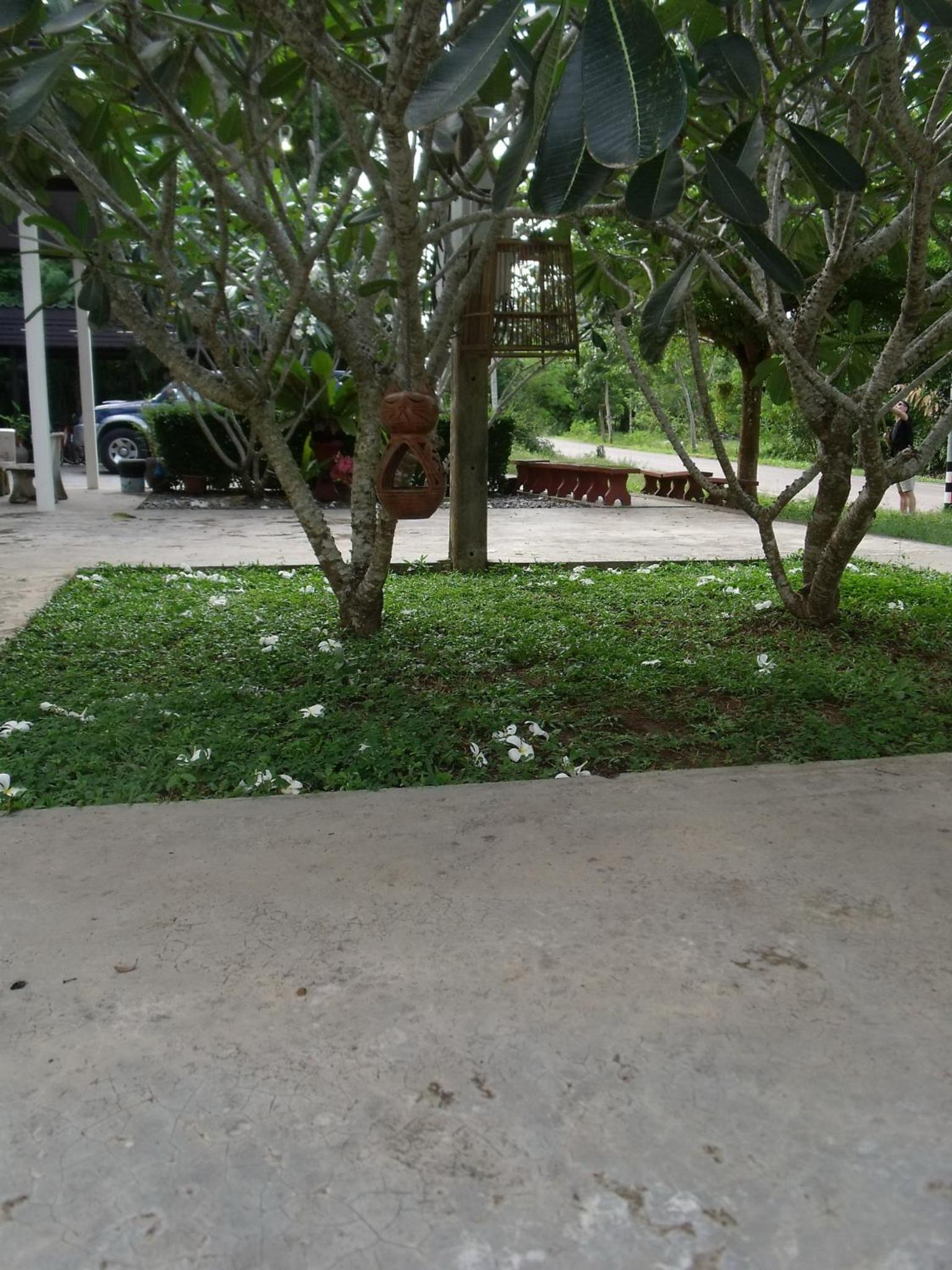 Albatross Guesthouse @ Thungwualaen Beach