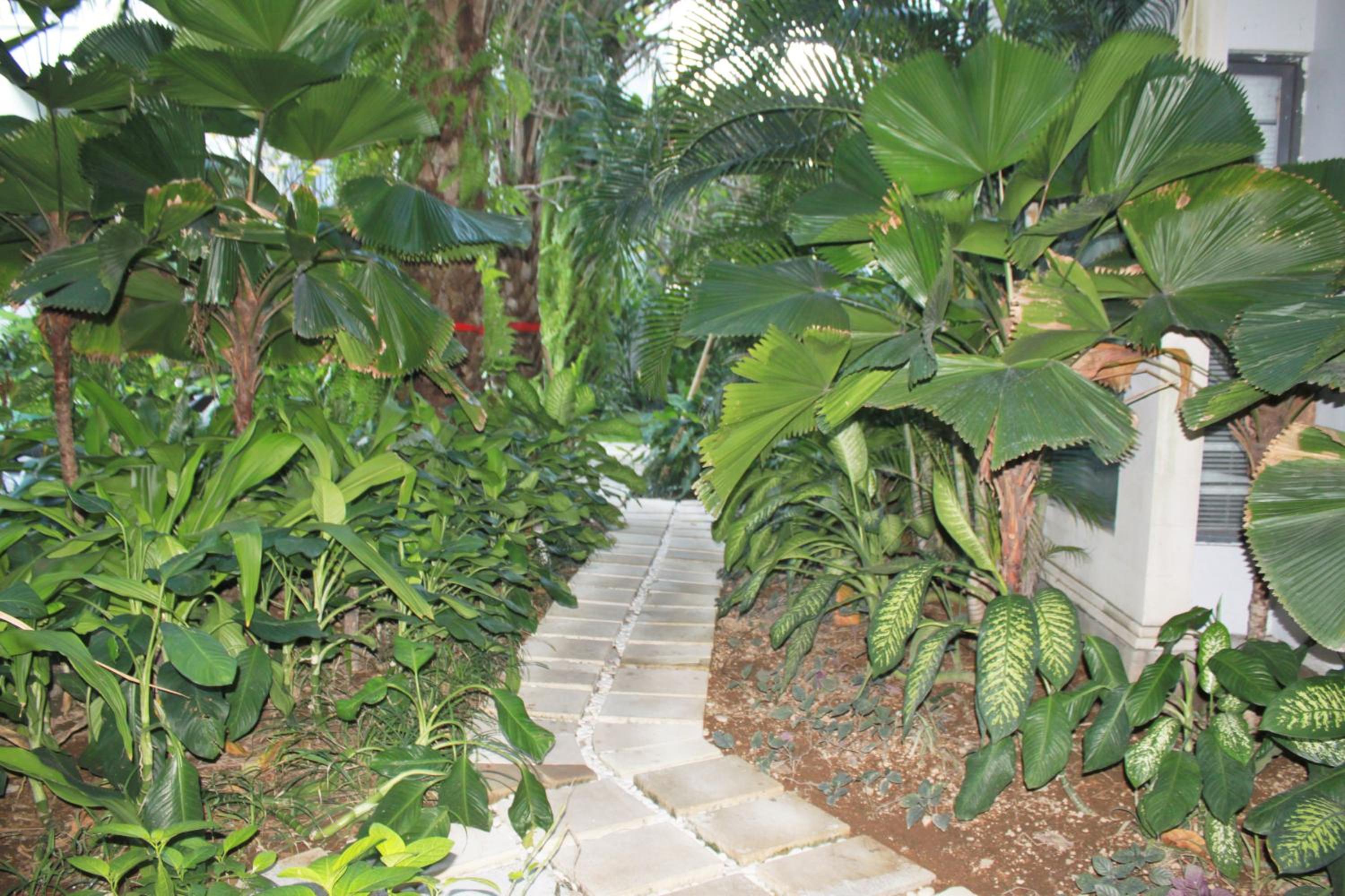 Photo 25