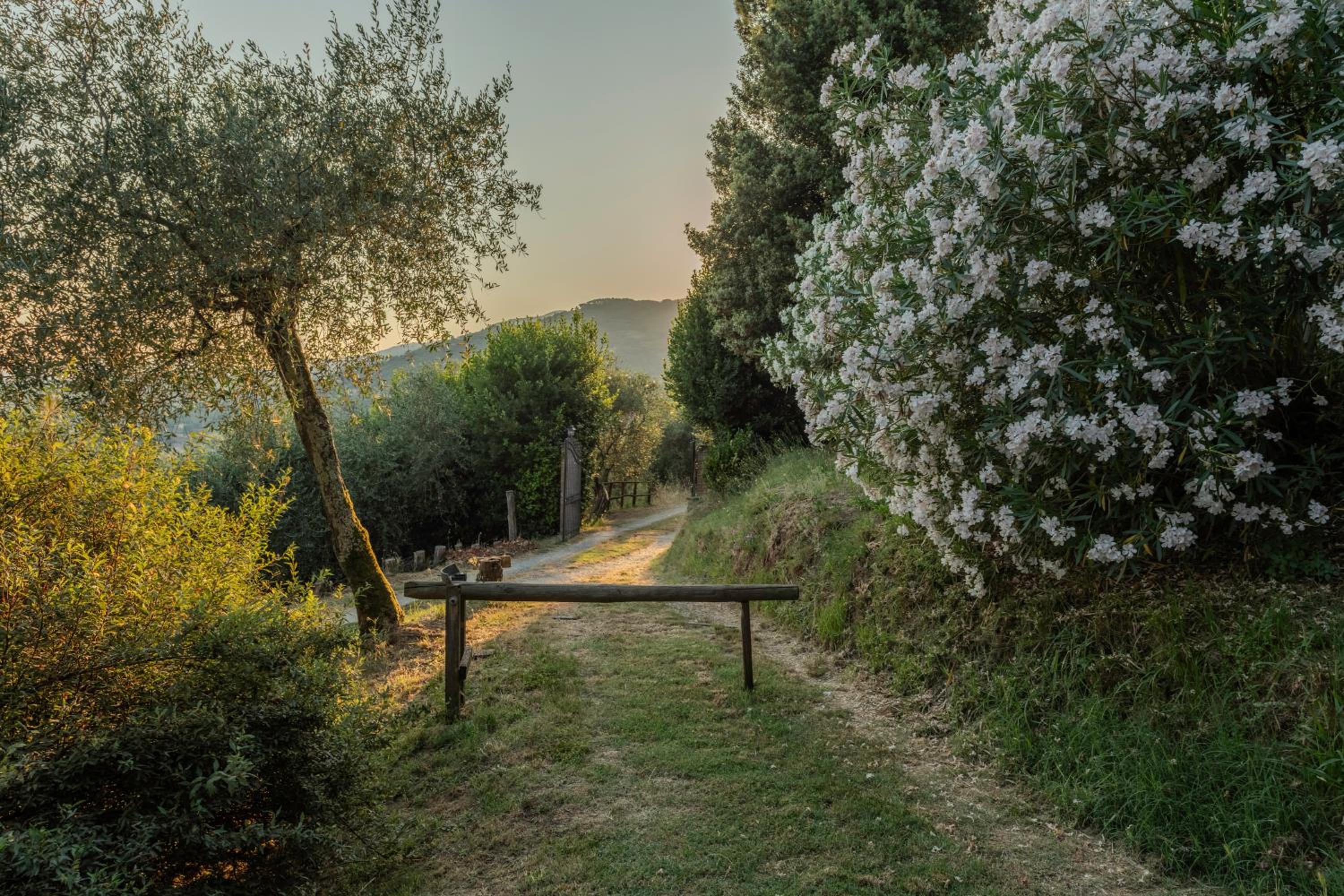 La Casa sui Colli, photo 46