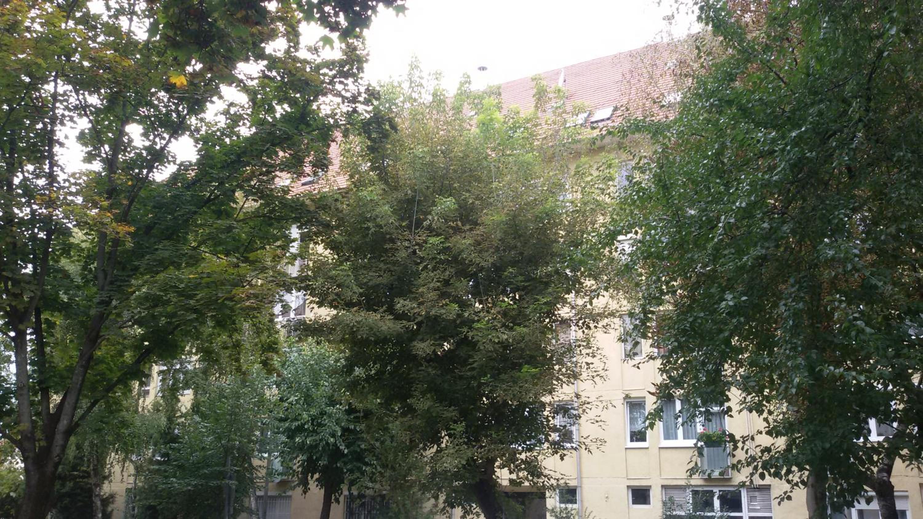 Liget Apartman