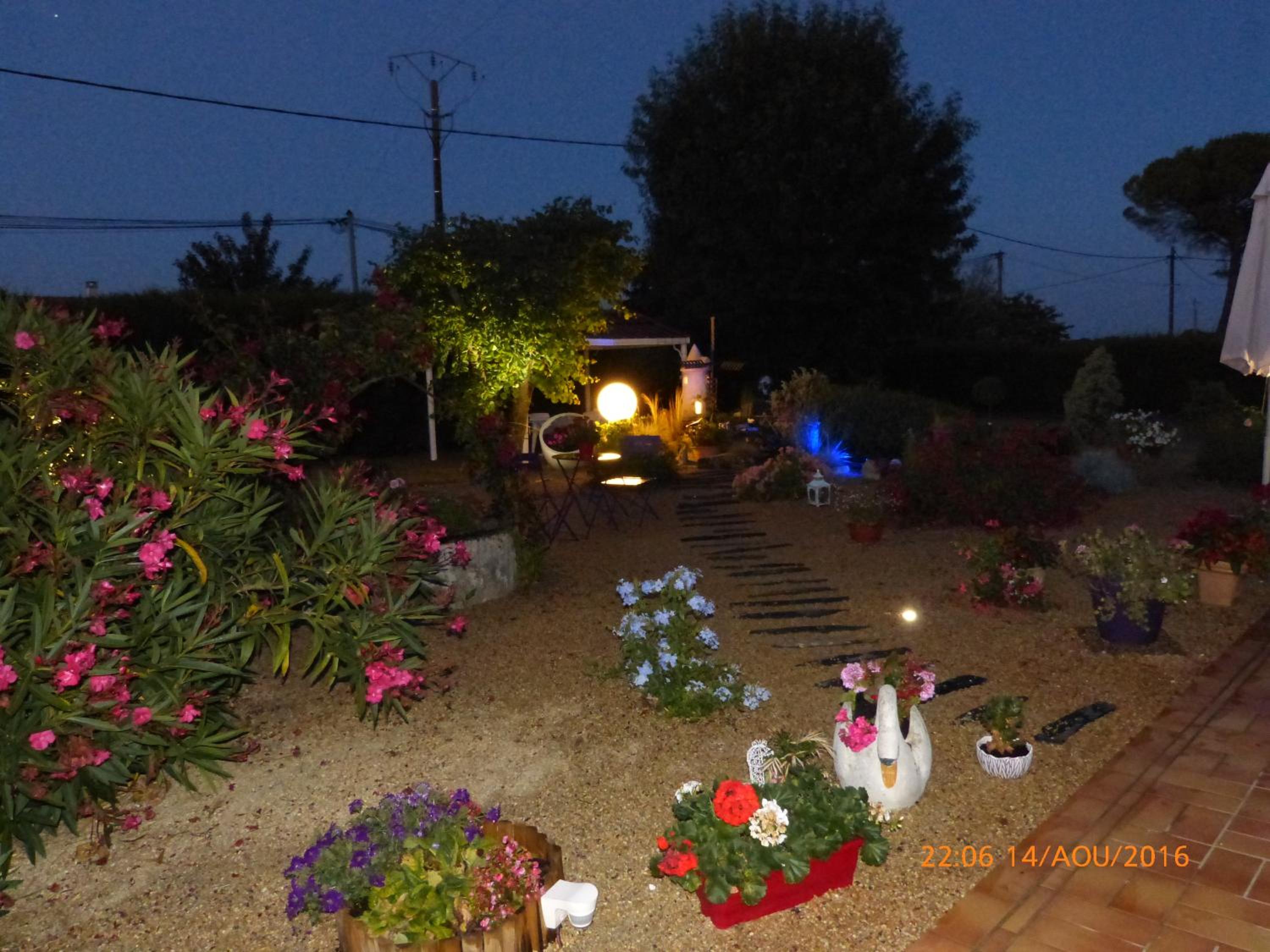 Photo 19