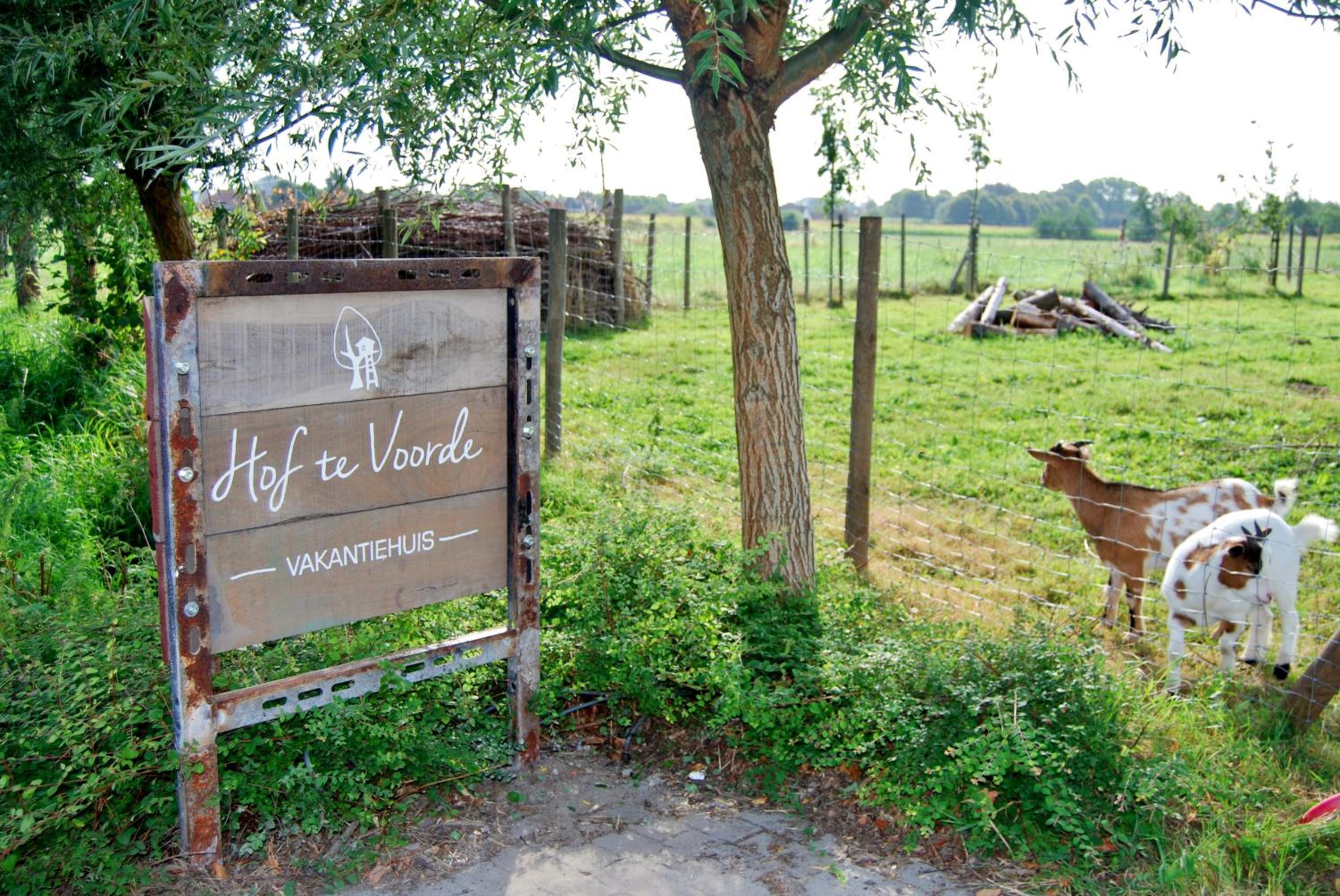Vakantiehuis Hof te Voorde