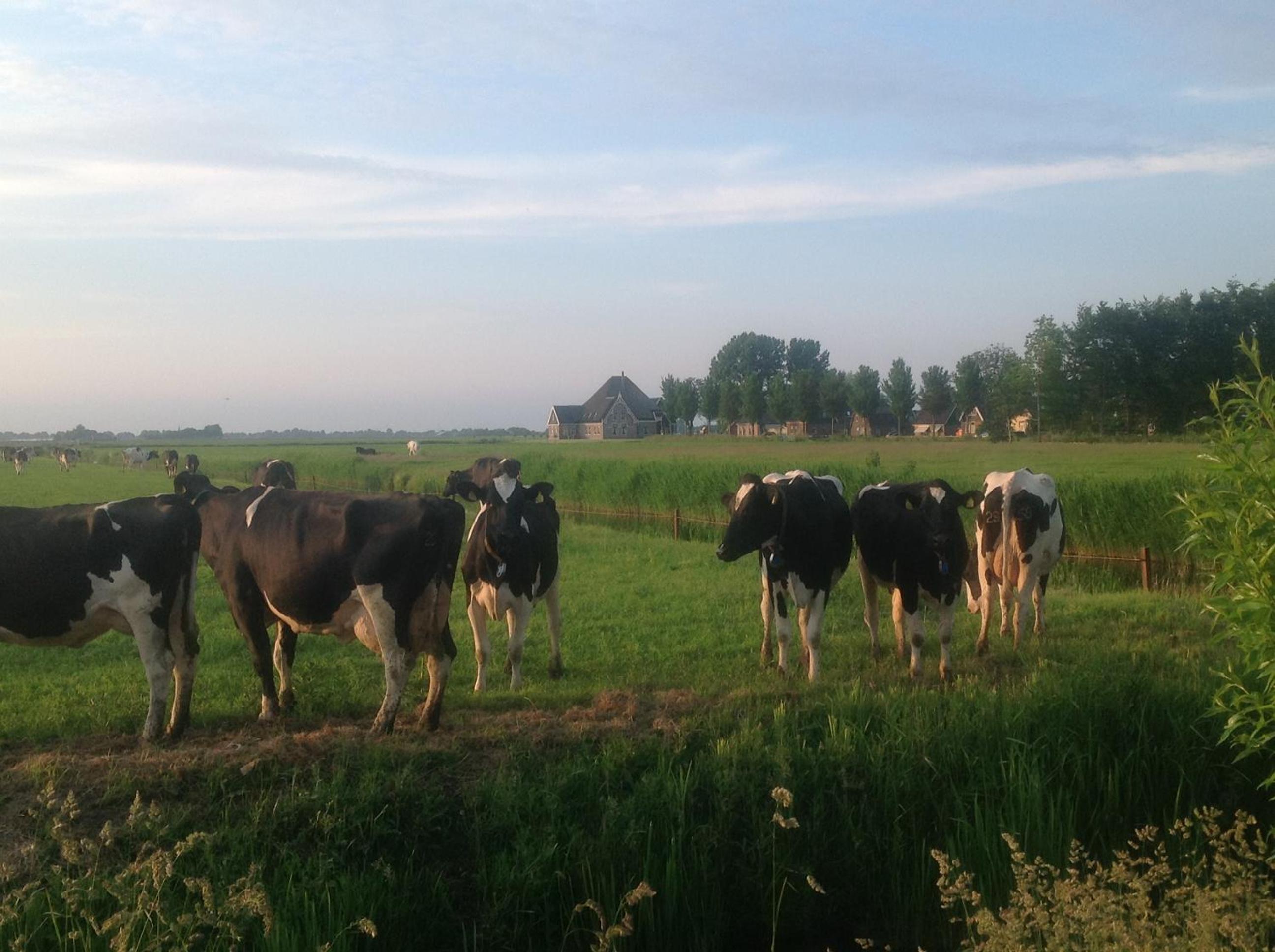 Chalet Ben in Broek