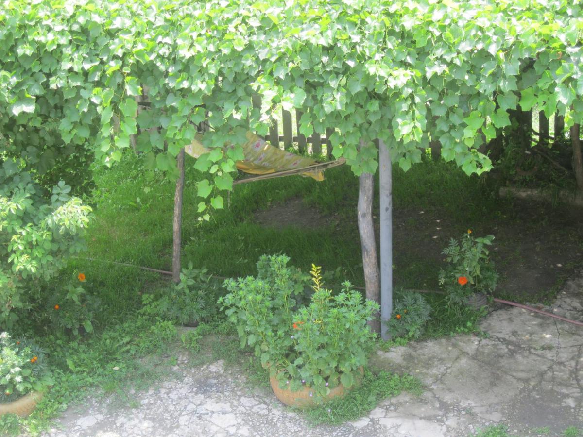 Photo 38