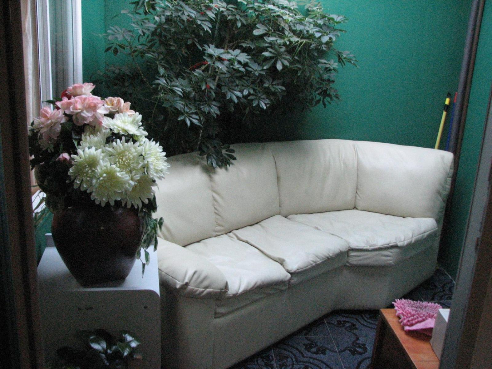 Photo 24