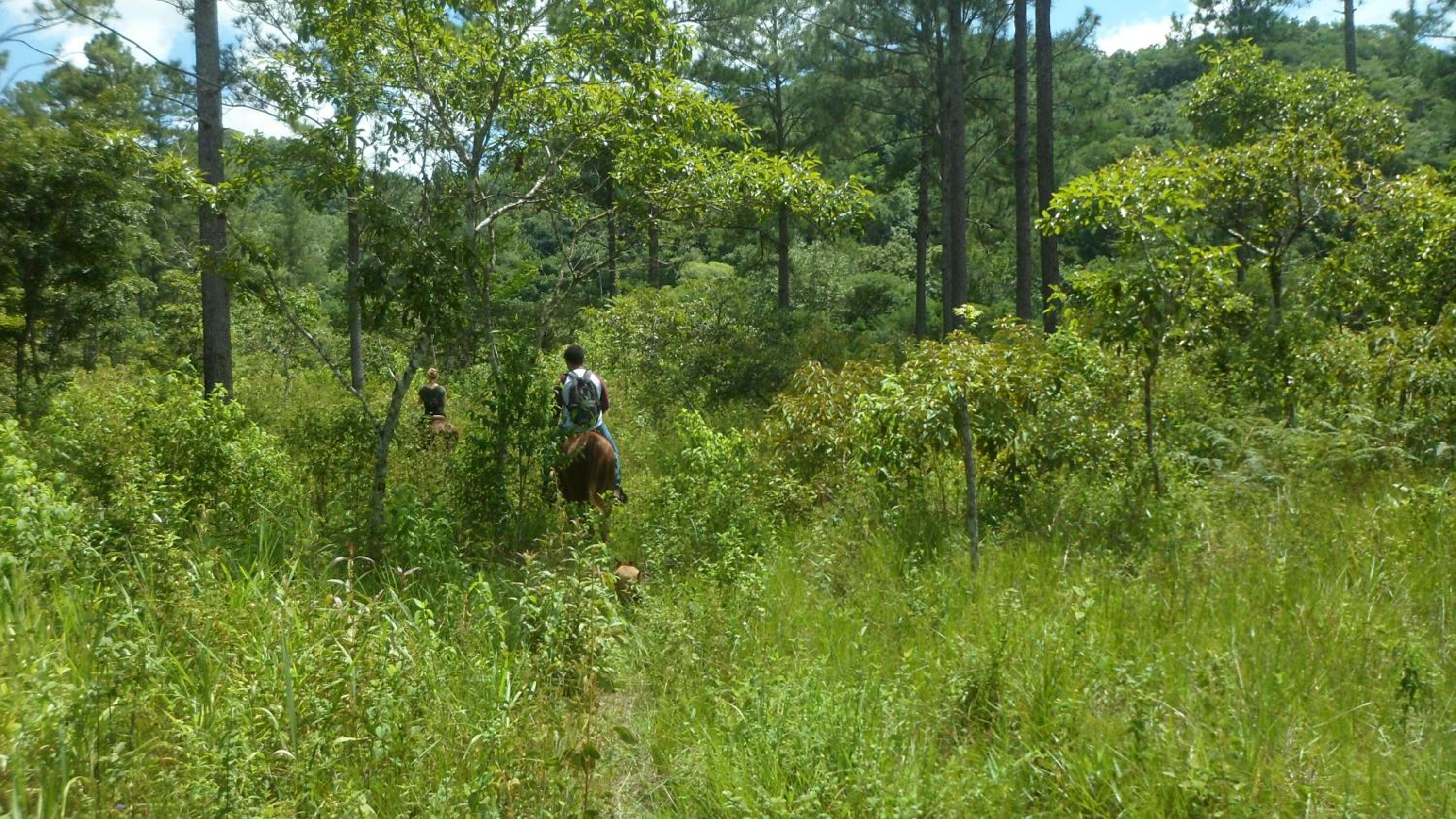 Finca Ixobel, photo 3