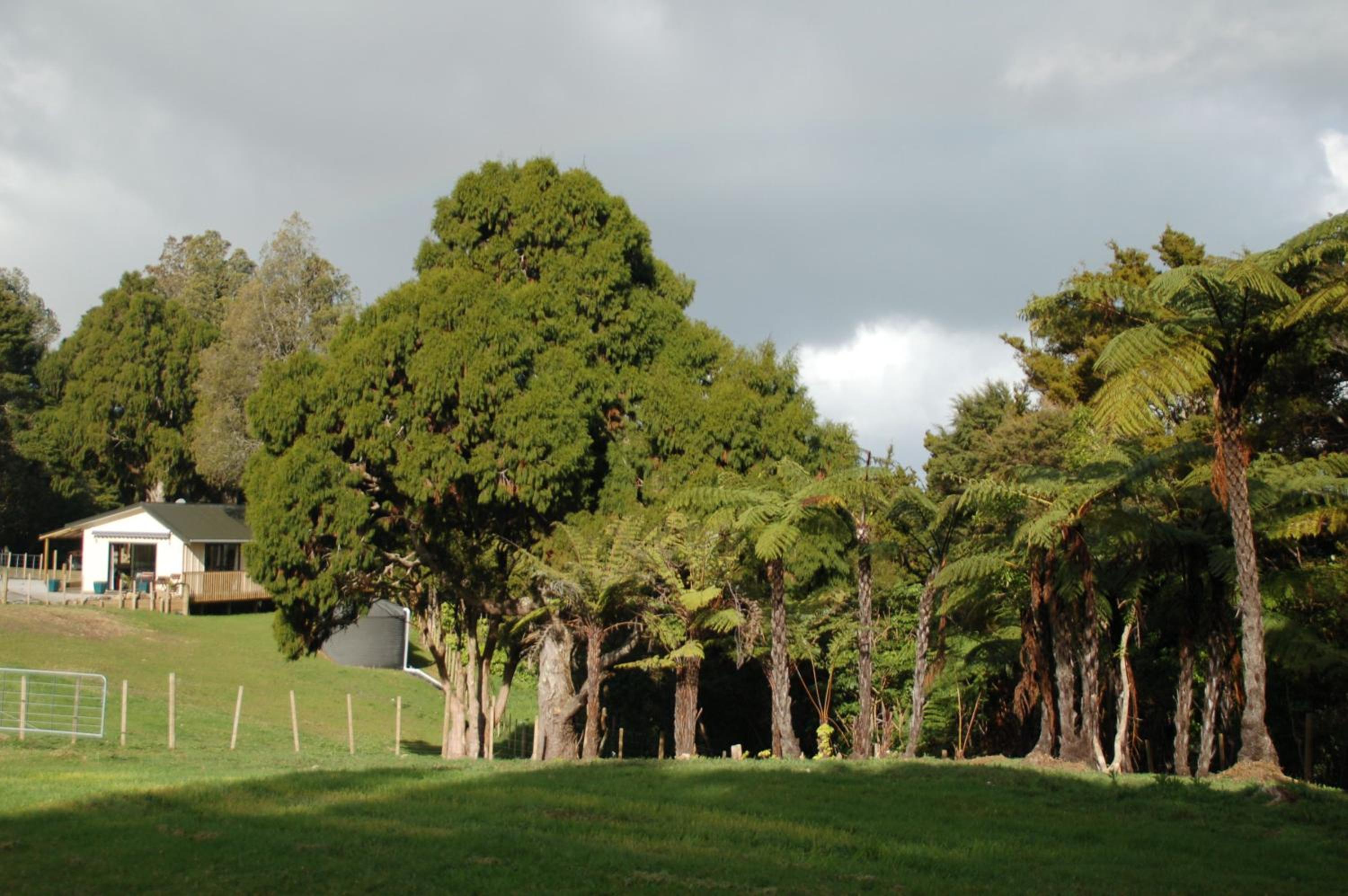 Kohinui Glade Holiday Cottage