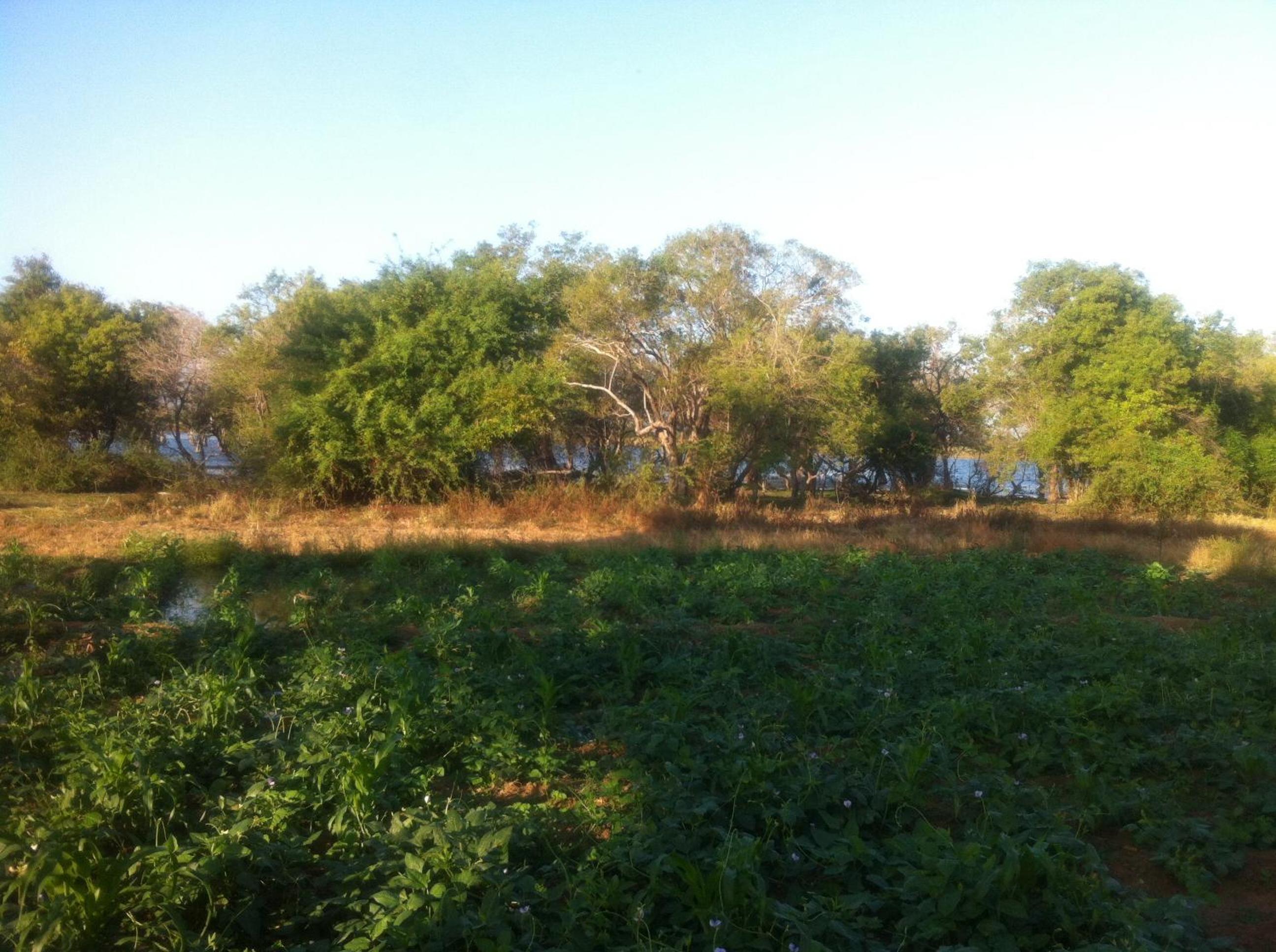 Photo 9