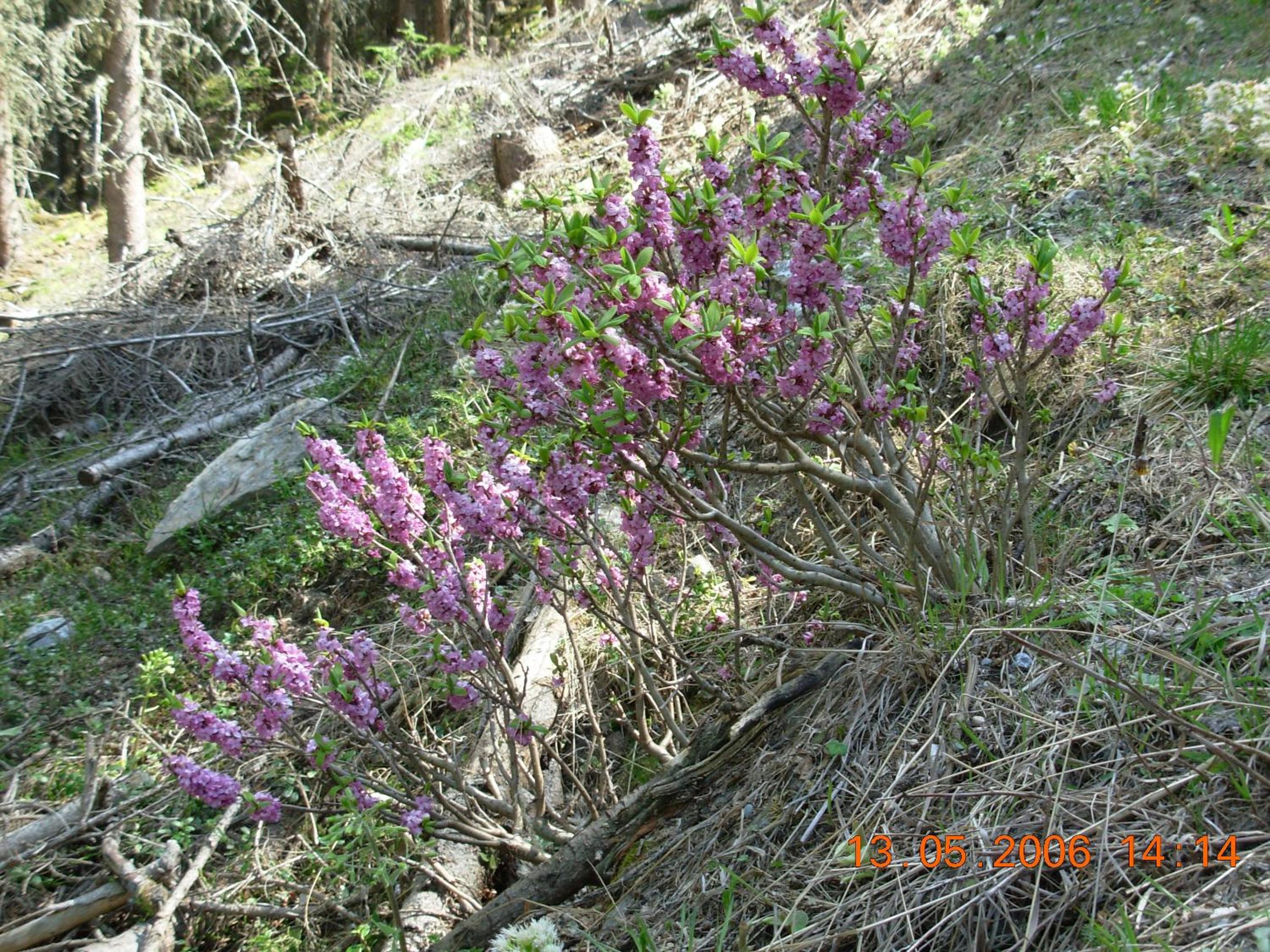 Photo 48