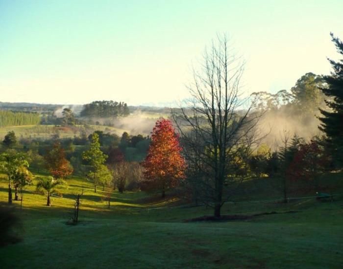 Puketotara Lodge view 5
